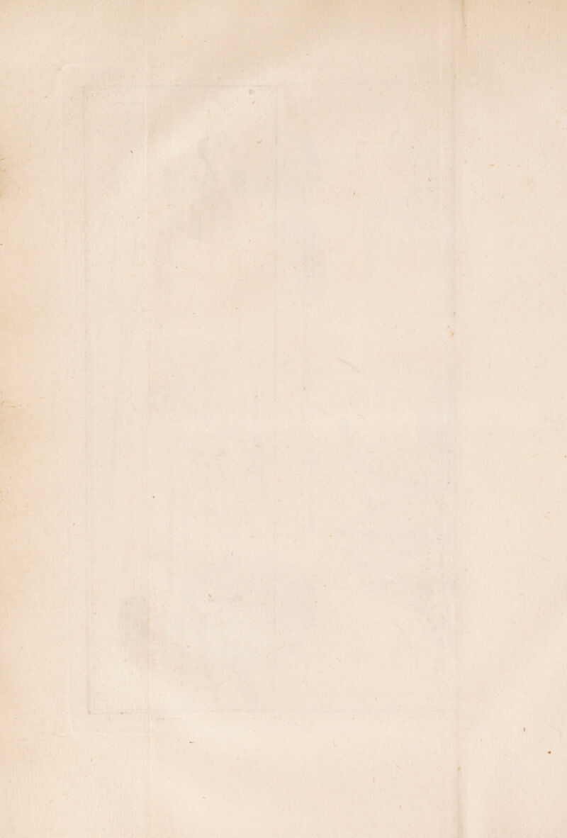 ‘ \ I I