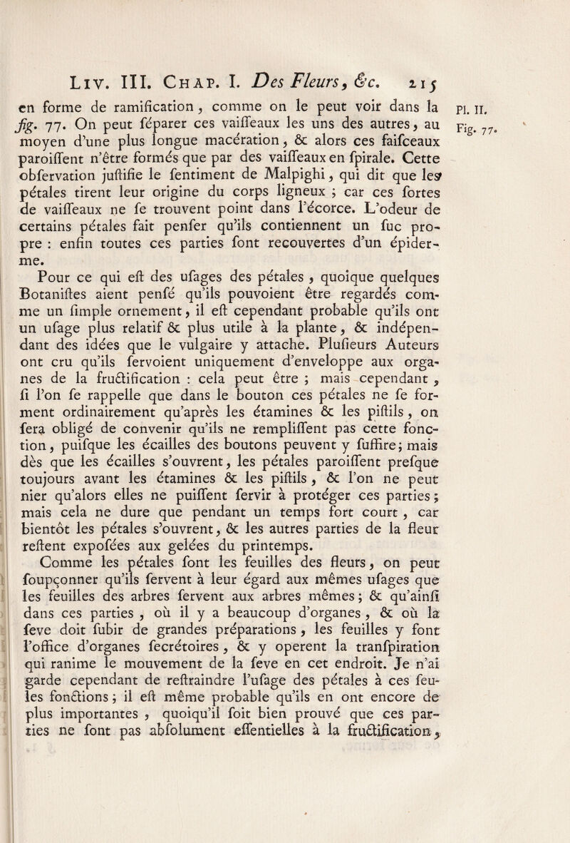 en forme de ramificationy comme on le peut voir dans la pi. n. fig. 77. On peut féparer ces vaiffeaux les uns des autres y au pjg< 77o moyen d’une plus longue macération y & alors ces faifceaux paroiffent n’être formés que par des vaiffeaux en fpirale. Cette obfervation juftifie le fentiment de Malpighi y qui dit que les pétales tirent leur origine du corps ligneux ; car ces fortes de vaiffeaux ne fe trouvent point dans l’écorce. L’odeur de certains pétales fait penfer qu’ils contiennent un fuc pro¬ pre : enfin toutes ces parties font recouvertes d’un épider¬ me. Pour ce qui eft des ufages des pétales y quoique quelques Botaniftes aient penfé qu’ils pouvoient être regardés com¬ me un fimple ornement > il eft cependant probable qu’ils ont un ufage plus relatif ôc plus utile à la plante, & indépen¬ dant des idées que le vulgaire y attache. Plufieurs Auteurs ont cru qu’ils fervoient uniquement d’enveloppe aux orga¬ nes de la fru&ification : cela peut être ; mais cependant y fi l’on fe rappelle que dans le bouton ces pétales ne fe for¬ ment ordinairement qu’après les étamines & les pifiils, on fera obligé de convenir qu’ils ne rempliffent pas cette fonc¬ tion , puifque les écailles des boutons peuvent y fuffire; mais dès que les écailles s’ouvrent, les pétales paroiffent prefque toujours avant les étamines & les pifiils y & l’on ne peut nier qu’alors elles ne puiffent fervir à protéger ces parties ; mais cela ne dure que pendant un temps fort court , car bientôt les pétales s’ouvrent > & les autres parties de la fleur reftent expofées aux gelées du printemps. Comme les pétales font les feuilles des fleurs y on peut foupçonner qu’ils fervent à leur égard aux mêmes ufages que les feuilles des arbres fervent aux arbres mêmes ; & qu’ainfî dans ces parties , où il y a beaucoup d’organes , & où la feve doit fubir de grandes préparations y les feuilles y font l’office d’organes fecrétoires * & y opèrent la tranfpiration qui ranime le mouvement de la feve en cet endroit. Je n’ai garde cependant de reftraindre l’ufage des pétales à ces feu¬ les fondions ; il eft même probable qu’ils en ont encore de plus importantes 3 quoiqu’il foit bien prouvé que ces par¬ ties ne font pas absolument effentielles à la fructification y