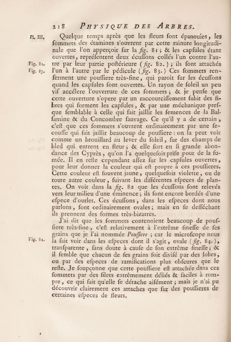 fommets des étamines s’ouvrent par cette rainure longitudi¬ nale que Ton apperçoit fur la fig. 81; & les capfules étant ouvertes, repréfentent deux écuffons collés l’un contre l’au- Fig. Si. tre par leur partie poftérieure (fig* 82.) ; ils font attachés Fig. 85, l’un à l’autre par le pédicule [fig. 83.) Ces fommets ren¬ ferment une poufliere très-fine, qui paroît fur les écuffons quand les capfules font ouvertes. Un rayon de foleil un peu vif accéléré l’ouverture de ces fommets ; & je penfe que cette ouverture s’opère par un raccourciffement fubit des fi¬ bres qui forment les capfules, & par une méchanique pref- que femblable à celle qui fait jaillir les femences de la Bal- famine ôc du Concombre fauvage. Ce qu’il y a de cerrain , c’eft que ces fommets s’ouvrent ordinairement par une fe- couffe qui fait jaillir beaucoup de poufliere : on la peut voir comme un brouillard au lever du foleil, fur des champs de bled qui entrent en fleur ; ôc elle fort en fi grande abon¬ dance des Cyprès , qu’on l’a quelquefois prife pour de la fu¬ mée. Il en refte cependant aflez fur les capfules ouvertes, pour leur donner la couleur qui eft propre à ces pouffieres» Cette couleur eft fouvent jaune, quelquefois violette, ou de toute autre couleur, fuivant les differentes efpeces de plan¬ tes. On voit dans la fig. 82 que les écuffons font relevés vers leur milieu d’une éminence; ils font encore bordés d’une efpece d’ourlet. Ces écuffons , dans les efpeces dont nous parlons, font ordinairement ovales ; mais en fe defféchant ils prennent des formes très-bizarres. J’ai dit que les fommets contenoient beaucoup de pouf- fiere très-fine , c’eft relativement à l’extrême finefle de fes grains que je l’ai nommée Poufliere ; car le microfcope nous rj£* ]a fait voir dans les efpeces dont il s’agit, ovale [fig. 84.), tranfparente , fans doute à caufe de fon extrême finefle ; ôc il femble que chacun de fes grains foit divifé par des lobes, ou par des efpeces de ramifications plus obfcures que le refte. Je foupçonne que cette poufliere eft attachée dans ces fommets par des filets extrêmement déliés & faciles à rom¬ pre , ce qui fait qu’elle fe détache aifément ; mais je n’ai pu découvrir clairement ces attaches que fur des pouflieres de certaines efpeces de fleurs* 1