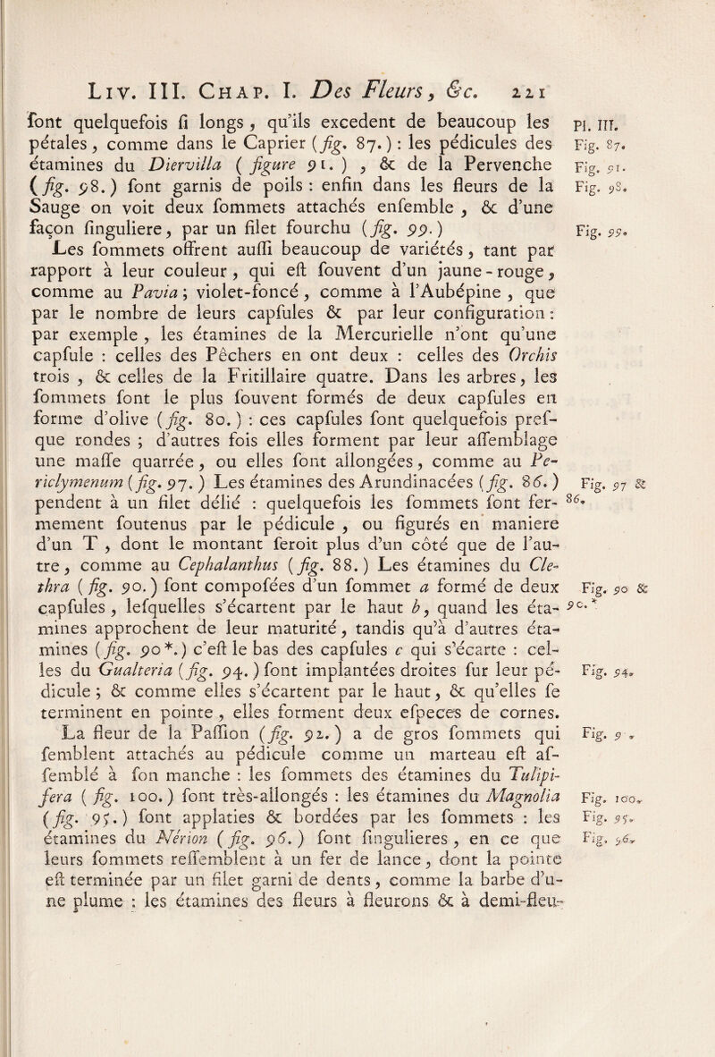 font quelquefois fi longs , qu’ils excédent de beaucoup les pi. m. pétales j comme dans le Câprier (fig. 87.) : les pédicules des Fig. 87. étamines du Dïervilla ( figure pi. ), & de la Pervenche Fig. pt. (fig. p8.) font garnis de poils: enfin dans les fleurs de la Fig. î>S. Sauge on voit deux fommets attachés enfemble , & d’une façon finguliere, par un filet fourchu {fig. pp.) Fi g. 99. -Les fommets offrent aufli beaucoup de variétés , tant pat rapport à leur couleur , qui eft fouvent d’un jaune - rouge , comme au Pavia ; violet-foncé , comme à l’Aubépine , que par le nombre de leurs capfules & par leur configuration : par exemple , les étamines de la Mercurielle n’ont qu’une capfule : celles des Pêchers en ont deux : celles des Orchis trois , & celles de la Fritillaire quatre. Dans les arbres, les fommets font le plus fouvent formés de deux capfules en forme d’olive (fig. 80.) : ces capfules font quelquefois pref- que rondes ; d’autres fois elles forment par leur affemblage une maffe quarrée, ou elles font allongées, comme au Pc- riclymenum (fig. 97. ) Les étamines des Arundinacées (fig. S6. ) Fig. <?7 pendent à un filet délié : quelquefois les fommets font fer- 8(5w mement foutenus par le pédicule , ou figurés en maniéré d’un T , dont le montant feroit plus d’un côté que de l’au¬ tre, comme au Cephalanthus (fig. 88.) Les étamines du Cle- îhra (fig. 90.) font compofées d’un fommet a formé de deux Fig. 50 8c capfules, lefquelles s’écartent par le haut b, quand les éta- ■pc-* mines approchent de leur maturité, tandis qu’à d’autres éta¬ mines (fig. po*.) c’eft le bas des capfules c qui s’écarte : cel¬ les du Gualteria (fig. 94. ) font implantées droites fur leur pé- Fig. $4. dicule ; & comme elles s’écartent par le haut, & qu’elles fe terminent en pointe , elles forment deux efpeces de cornes. La fleur de la Pafïion (fig. pi.) a de gros fommets qui Fig. 9-v femblent attachés au pédicule comme un marteau eft af- femblé à fon manche : les fommets des étamines du Tutipi- fera ( fig. 100.) font très-allongés : les étamines du Magnolia Fig» 100* (fig. 95') font applaties & bordées par les fommets : les Fig. étamines du Nérion (fig. 96.) font fingulieres , en ce que Fig, leurs fommets reffemblent à un fer de lance, dont la pointe eft terminée par un filet garni de dents, comme la barbe d'u¬ ne plume : les étamines des fleurs à fleurons & à demi-fleur