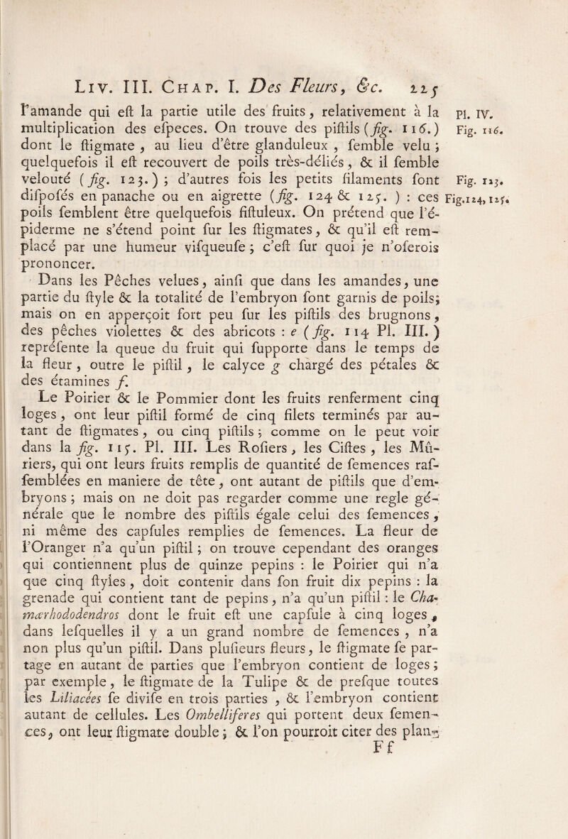 ■ , , Liv. III. Chap. I. D es Fleursy &c, ±i$ flamande qui eft la partie utile des fruits , relativement à la pi. iv. multiplication des efpeces. On trouve des piftils ( fig. 116^.) Fig. n6. dont le fiigmate , au lieu d’être glanduleux , femble velu ; quelquefois il eft recouvert de poils très-déliés y & il femble velouté {fig. 123.); d’autres fois les petits filaments font Fig. 113. difpofés en panache ou en aigrette {fig. 124 & 125. ) : ces Fig.i24,iaf. poils femblent être quelquefois fiftuleux. On prétend que l’é¬ piderme ne s’étend point fur les ftigmates, & qu’il eft rem¬ placé par une humeur vifqueufe ; c’eft fur quoi je n’oferois prononcer. Dans les Pêches velues, ainfi que dans les amandes y une partie du ftyle & la totalité de l’embryon font garnis de poils; mais on en apperçoit fort peu fur les piftils des brugnons ? des pêches violettes & des abricots : e {fig* 114 PI. III.) repréfente la queue du fruit qui fupporte dans le temps de la fleur , outre le piftil y le calyce g chargé des pétales 6c des étamines fi Le Poirier & le Pommier dont les fruits renferment cinq loges y ont leur piftil formé de cinq filets terminés par au¬ tant de ftigmates , ou cinq piftils ; comme on le peut voir dans la fig. iiy. PI. III. Les Rofiers, les Ciftes y les Mû¬ riers, qui ont leurs fruits remplis de quantité de femences raf- femblées en maniéré de tête y ont autant de piftils que d’em¬ bryons ; mais on ne doit pas regarder comme une réglé gé¬ nérale que le nombre des piftils égale celui des femences 9 ni même des capfules remplies de femences. La fleur de l’Oranger n’a qu’un piftil ; on trouve cependant des oranges qui contiennent plus de quinze pépins : le Poirier qui n’a que cinq ftyles y doit contenir dans fon fruit dix pépins : la grenade qui contient tant de pépins , n’a qu’un piftil : le Cha» mœrhododendros dont le fruit eft une capfule à cinq loges # dans lefquelles il y a un grand nombre de femences , n’a non plus qu’un piftil. Dans plu fleurs fleurs y le ftigmate fe par¬ tage en autant de parties que l’embryon contient de loges ; par exemple, le ftigmate de la Tulipe ôc de prefque toutes les Liliacées fe divife en trois parties , & l’embryon contient autant de cellules. Les Ombelliferes qui portent deux femen¬ ces ; ont leur ftigmate double ; & l’on pourroit citer des plan*}