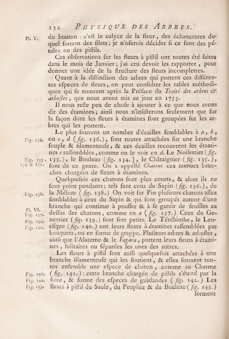 du bouton : c’eft le calyce de la fleur , des échancrures du¬ quel fortent des filets ; je n’oferois décider fi ce font des pé¬ tales ou des piftils. Ces obfervations fur les fleurs à piftil ont toutes été faites dans le mois de Janvier ; j’ai cru devoir les rapporter , pour donner une idée de la ftruéture des fleurs incomplettes. Quant à la diftinétion des arbres qui portent ces différen¬ tes efpeces de fleurs , on peut confulter les tables méthodi¬ ques qui fe trouvent après la Préface du Traité des arbres ù*t arbufies y que nous avons mis au jour en 173 j. Il nous refte peu de chofe à ajouter à ce que nous avons dit des étamines ; ainfi nous n’infifterons feulement que fur la façon dont les fleurs à étamines font groupées fur les ar¬ bres qui les portent. Le plus fouvent un nombre d’écailles femblables à a , b, Fi?. 136. ou c, d (fig. 136.), font toutes attachées fur une branche fouple & filamenteufe, & ces écailles recouvrent les étami¬ nes e rafïemblées , comme on le voit en d. Le Noifettier {fig» Fig. 133, 133.), le Bouleau (fig. 134.), le Châtaignier (fig. 135'.), 4 & r3ï* font de ce genre. On a appelle Chatons ces menues bran¬ ches chargées de fleurs à étamines. Quelquefois ces chatons font plus courts , & alors ils ne font point pendants; tels font ceux du Sapin (fig. 136. ), de Fig. 138. la Méleze ( fig. 138.) On voit fur Pin plufieurs chatons allez femblables à ceux du Sapin & qui font groupés autour d’une branche qui continue à pouffer & à fe garnir de feuilles au |.Q deflus des chatons, comme en a (fig- 137-) Ceux du Ge- n9# nevrier (fig. 13p.) font fort petits. Le Térébinthe, le Len- Pig. 140. tifque (fig. 140.) ont leurs fleurs à étamines rafïemblées par bouquets, ou en forme de grappe. Plufieurs arbres & arbuftes , ainfi que i’Alaterne & le Fagara, portent leurs fleurs à étami¬ nes , folitaires ou féparées les unes des autres. Les fleurs à piftil font auffi quelquefois attachées à une branche filamenteufe qui les foutient, & elles forment tou¬ tes enfemble une efpece de chaton , comme au Charme Fig. 14Ï. (fig- 141.): cette branche chargée de piftils s’étend par la Fig, i4i. fuite, & forme des efpeces de guirlandes (fig* 142..) Les Fig. 143» fleurs à piftil du Saule, du Peuplier & du Bouleau ( fig. 143.) forment