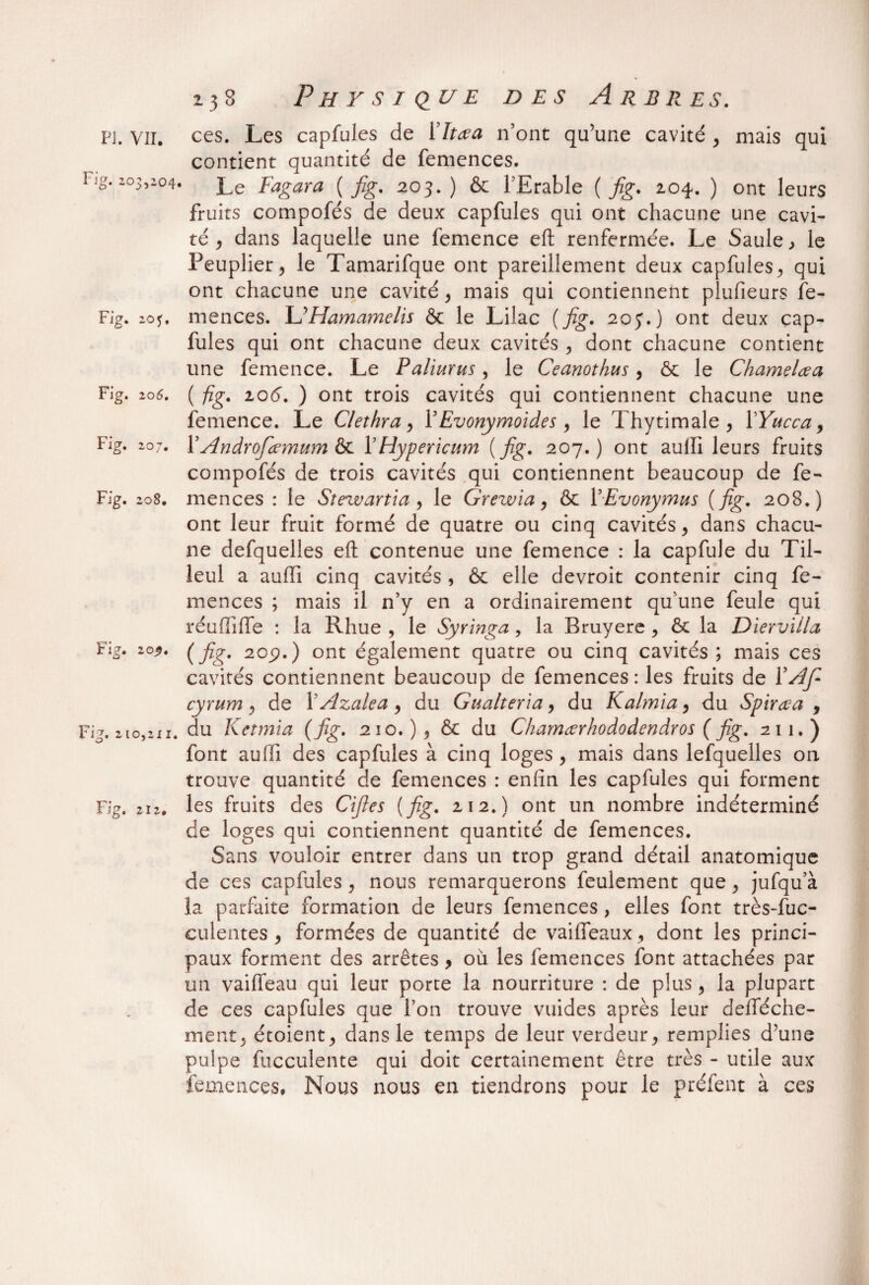 Fig. 205,204, Fig. 20*. Fig. 206. Fig. 207. Fig. 208. Fig. 20^. Fig. 210,211. Fig. 212» 138 Physique des Arbres. contient quantité de femences. Le Fagara { fig. 203. ) & l’Erable ( fig. 204. ) ont leurs fruits compofés de deux capfules qui ont chacune une cavi¬ té * dans laquelle une femence eft renfermée. Le Saule* le Peuplier* le Tamarifque ont pareillement deux capfules* qui ont chacune une cavité * mais qui contiennent plufieurs fe¬ mences. L'Hamamelis & le Lilac {fig. 203.) ont deux cap¬ fules qui ont chacune deux cavités * dont chacune contient une femence. Le Paliurus* le Ceanothus* ôc le Chamelœa ( fig. 206. ) ont trois cavités qui contiennent chacune une femence. Le Clethra* Y Evonymoides* le Thytimale * Y Yucca, YAndrofamum & Y Hypericum {fig* 207.) ont aulli leurs fruits compofés de trois cavités qui contiennent beaucoup de fe¬ mences : le Stezvartia* le Grewla* & Y Evonymus {fig. 208.) ont leur fruit formé de quatre ou cinq cavités* dans chacu¬ ne defquelles efl: contenue une femence : la capfule du Til¬ leul a aufli cinq cavités , & elle devroit contenir cinq fe¬ mences ; mais il n’y en a ordinairement qu’une feule qui réufiifTe : la Rhue * le Syringa, la Bruyère * & la Diervilla (fig* 20p.) ont également quatre ou cinq cavités; mais ces cavités contiennent beaucoup de femences : les fruits de Y A fi cyrum* de l’Azalea * du Gualteria, du Kalmia* du Spirœa 9 du Ketmia (fig. 210. )* & du Chamærhododendros ( fig. 211.) font auffi des capfules à cinq loges 9 mais dans lefquelles on trouve quantité de femences : enfin les capfules qui forment les fruits des Cifies {fig. 212.) ont un nombre indéterminé de loges qui contiennent quantité de femences. Sans vouloir entrer dans un trop grand détail anatomique de ces capfules * nous remarquerons feulement que* jufqu’à la parfaite formation de leurs femences, elles font très-fuc- culentes 9 formées de quantité de vaiffeaux* dont les princi¬ paux forment des arrêtes, ou les femences font attachées par un vailfeau qui leur porte la nourriture : de plus* la plupart de ces capfules que l’on trouve vuides après leur defféche- ment* étoient* dans le temps de leur verdeur* remplies d’une pulpe fucculente qui doit certainement être très - utile aux femences, Nous nous en tiendrons pour le préfent à ces