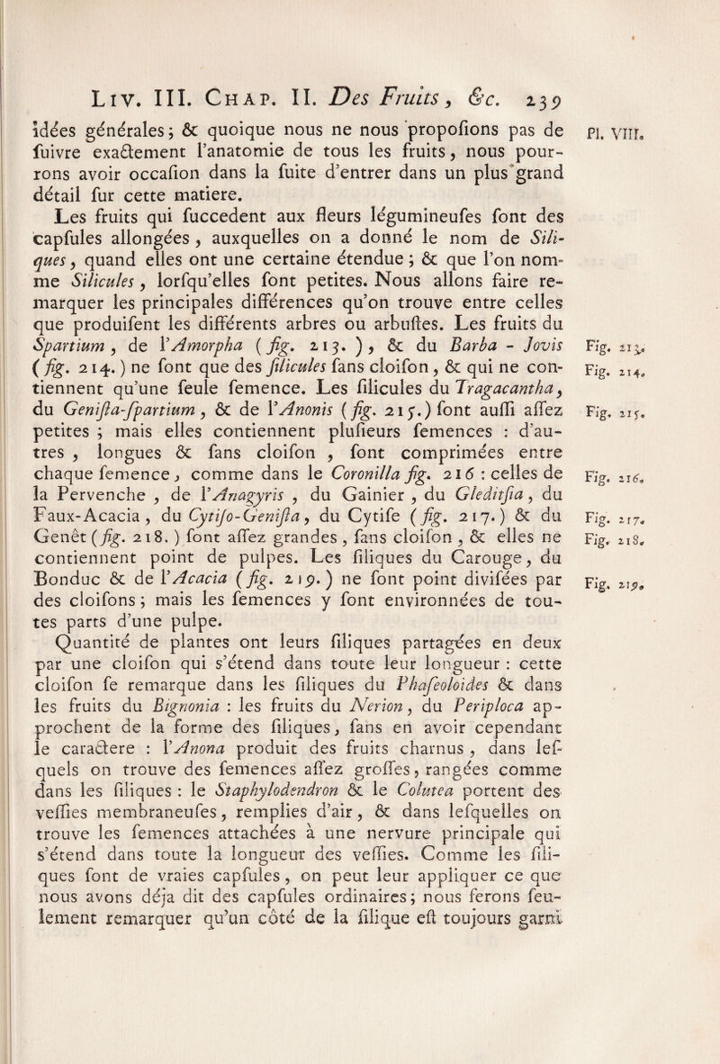 fuivre exa&ement l’anatomie de tous les fruits, nous pour» rons avoir occafion dans la fuite d’entrer dans un plus grand détail fur cette matière. Les fruits qui fuccedent aux fleurs légumineufes font des capfules allongées , auxquelles on a donné le nom de Siii- ques > quand elles ont une certaine étendue ; & que l’on nom¬ me Silicules, lorfqu’elles font petites. Nous allons faire re¬ marquer les principales différences qu’on trouve entre celles que produifent les différents arbres ou arbuftes. Les fruits du Spart mm , de X Amorpha (fig. 213. ), & du Barba - Jovis Fig. 21& ( fig. 214. ) ne font que des filleules fans cloifon, & qui ne con- Fig. 214, tiennent qu’une feule femence. Les filicules du Tr agaçant ha, du Genifia-fpartium, & de X A nonis (fig. 213. ) font auflî affez Fig, 21?. petites ; mais elles contiennent plufieurs Semences : d’au¬ tres , longues & fans cloifon , font comprimées entre chaque femence j comme dans le Coronilla fig* 216 icelles de Fig. 116, la Pervenche ^ de XAnagyrls , du Gainier , du Gleàhfia, du Faux-Acacia , du Cytljo-Genifia, du Cytife ( fig. 217.) & du Fig. n7a Genêt (fig. 218. ) font affez grandes , fans cloifon ^ & elles ne Fig. 21S, contiennent point de pulpes. Les filiques du Carouge^ du Bonduc & de XAcacia (fig. n9. ) ne font point divifées par Fig. %\$9 des cloifons ; mais les femences y font environnées de tou¬ tes parts d’une pulpe. Quantité de plantes ont leurs filiques partagées en deux par une cloifon qui s’étend dans toute leur longueur : cette cloifon fe remarque dans les filiques du Phafeoloïdes & dans les fruits du Bignonia : les fruits du Nerion, du Periploca ap¬ prochent de la forme des filiques, fans en avoir cependant le caraétere : XAnona produit des fruits charnus , dans lefi quels on trouve des femences afiez greffes, rangées comme dans les filiques : le Siaphyloâsndron & le Colutea portent des veffies membraneufes, remplies d’air, & dans lefqueîles on trouve les femences attachées à une nervure principale qui s’étend dans toute la longueur des vefTies. Comme les fili¬ ques font de vraies capfules , on peut leur appliquer ce que nous avons déjà dit des capfules ordinaires; nous ferons feu» lement remarquer qu’un côté de la filique eft toujours garni