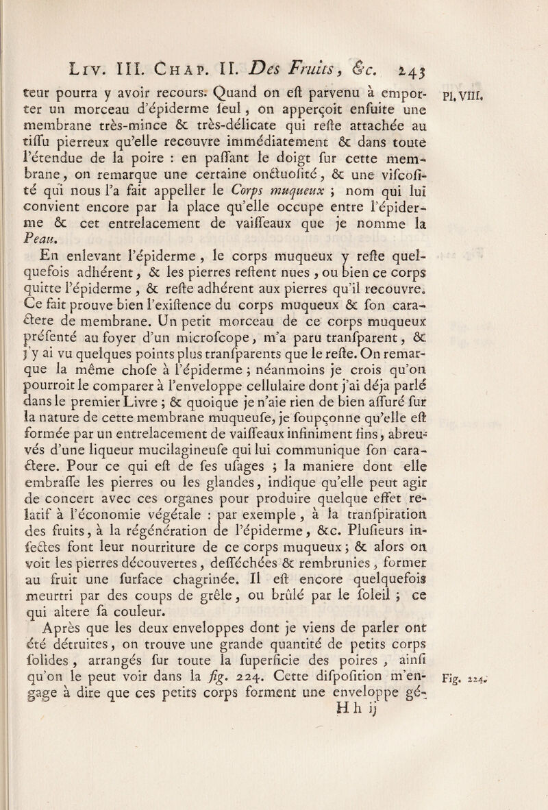 tetir pourra y avoir recours. Quand on efl parvenu à empor¬ ter un morceau d’épiderme feul, on apperçoit enfuite une membrane très-mince & très-délicate qui relie attachée au tiffu pierreux qu’elle recouvre immédiatement & dans toute l’étendue de la poire : en partant le doigt fur cette mem¬ brane , on remarque une certaine on&uofité, & une vifcofi- té qui nous Ta fait appeller le Corps muqueux ; nom qui lui convient encore par la place qu’elle occupe entre l’épider¬ me & cet entrelacement de vaiflfeaux que je nomme la Peau. En enlevant l’épiderme , le corps muqueux y refie quel¬ quefois adhérent , & les pierres relient nues , ou bien ce corps quitte l’épiderme , & relie adhérent aux pierres qu’il recouvre,, Ce fait prouve bien Fexillence du corps muqueux & fon cara¬ ctère de membrane. Un petit morceau de ce corps muqueux préfenté au foyer d’un microfcope, m’a paru tranfparent, & j’y ai vu quelques points plus tranfparents que le relie. On remar¬ que la même chofe à l’épiderme ; néanmoins je crois qu’on pourroit le comparer à l’enveloppe cellulaire dont j’ai déjà parlé dans le premier Livre ; & quoique je n’aie rien de bien alluré fur la nature de cette membrane muqueufe, je foupçonne qu’elle ell formée par un entrelacement de vairteaux infiniment fins* abreu¬ vés d’une liqueur mucilagineufe qui lui communique fon cara¬ ctère. Pour ce qui ell de fes ufages ; la maniéré dont elle embrarte les pierres ou les glandes, indique qu’elle peut agir de concert avec ces organes pour produire quelque effet re¬ latif à l’économie végétale : par exemple, à la tranfpiration des fruits, à la régénération de l’épiderme, &c. Plufieurs in- fefites font leur nourriture de ce corps muqueux ; & alors on voit les pierres découvertes , defféchées & rembrunies, former au fruit une furface chagrinée. Il ell encore quelquefois meurtri par des coups de grêle, ou brûlé par le foleil ; ce qui altéré fa couleur. Après que les deux enveloppes dont je viens de parler ont été détruites, on trouve une grande quantité de petits corps folides , arrangés fur toute la fuperficie des poires , ainfi gage à dire que ces petits corps forment une enveloppe gé- H h ij PI, VIII*