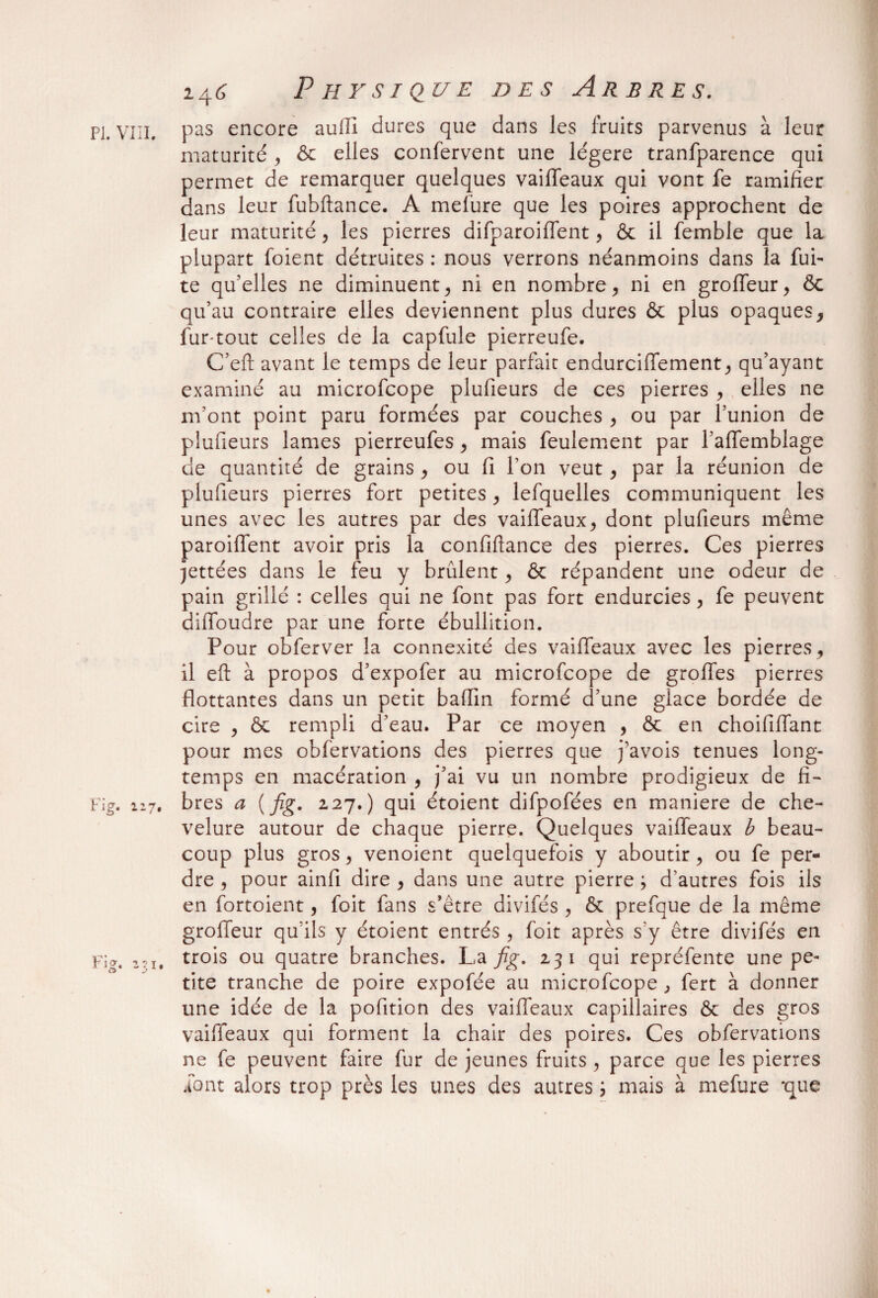 PI. viii. pas encore aulli dures que dans les fruits parvenus à leur maturité , & elles confervent une légère tranfparence qui permet de remarquer quelques vaiffeaux qui vont fe ramifier dans leur fubftance. A mel’ure que les poires approchent de leur maturité, les pierres difparoiffent, & il femble que la plupart foient détruites : nous verrons néanmoins dans la fui¬ te qu’elles ne diminuent , ni en nombre, ni en groffeur, ôc qu’au contraire elles deviennent plus dures & plus opaques, fur-tout celles de la capfule pierreufe. C’eft avant le temps de leur parfait endurciffement, qu’ayant examiné au microfcope plufieurs de ces pierres , elles ne m’ont point paru formées par couches , ou par l’union de pffufieurs lames pierreufes, mais feulement par l’alfemblage de quantité de grains , ou fi Ton veut, par la réunion de plufieurs pierres fort petites, lefquelles communiquent les unes avec les autres par des vaiffeaux, dont plufieurs même paroiffent avoir pris la confiftance des pierres. Ces pierres jettées dans le feu y brûlent, & répandent une odeur de pain grillé : celles qui ne font pas fort endurcies, fe peuvent diffoudre par une forte ébullition. Pour obferver la connexité des vaiffeaux avec les pierres, il eft à propos d’expofer au microfcope de groffes pierres flottantes dans un petit baffin formé d’une glace bordée de cire , ôc rempli d’eau. Par ce moyen , ôc en choififfant pour mes obfervations des pierres que j’avois tenues long¬ temps en macération , j’ai vu un nombre prodigieux de fi- Fig. 127. bres a (fig. 127.) qui étoient difpofées en maniéré de che¬ velure autour de chaque pierre. Quelques vaiffeaux b beau¬ coup plus gros, venoient quelquefois y aboutir, ou fe per¬ dre , pour ainfi dire , dans une autre pierre ; d’autres fois ils en fortoient, foit fans s’être divifés , ôc prefque de la même groffeur qu’ils y étoient entrés, foit après s'y être divifés en Fi*. l:u trois ou quatre branches. La fig. 231 qui repréfente une pe¬ tite tranche de poire expofée au microfcope , fert à donner une idée de la pofition des vaiffeaux capillaires ôc des gros vaiffeaux qui forment la chair des poires. Ces obfervations ne fe peuvent faire fur de jeunes fruits, parce que les pierres font alors trop près les unes des autres ; mais à mefure *que /