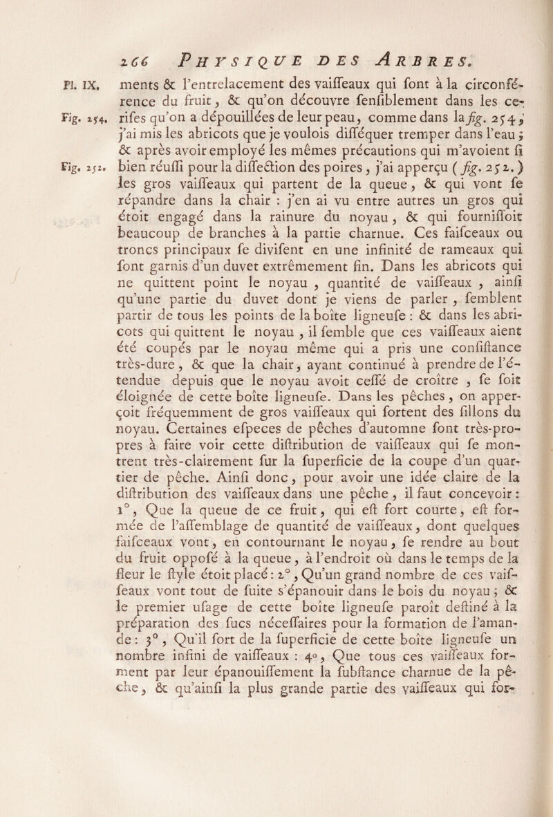 PL IX. ments & l’entrelacement des vaiffeaux qui font à la circonfé¬ rence du fruit, & qu’on découvre fenfiblement dans les ce- Fig. i?4. rifes qu’on a dépouillées de leur peau* comme dans hfig. 254 „ j’ai mis les abricots que je voulois difféquer tremper dans l’eau ; & après avoir employé les mêmes précautions qui m’avoient fi Fig. 2j2. bien réuiïi pour la diffedion des poires , j’ai apperçu ( fig, 252.) les gros vaiffeaux qui partent de la queue , & qui vont fe répandre dans la chair : j’en ai vu entre autres un gros qui étoit engagé dans la rainure du noyau , & qui fourniffoit beaucoup de branches à la partie charnue. Ces faifeeaux ou troncs principaux fe divifent en une infinité de rameaux qui font garnis d’un duvet extrêmement fin. Dans les abricots qui 11e quittent point le noyau , quantité de vaiffeaux , ainfi qu’une partie du duvet dont je viens de parler , femblent partir de tous les points de la boîte ligneufe : & dans les abri¬ cots qui quittent le noyau , il femble que ces vaiffeaux aient été coupés par le noyau même qui a pris une confiftance très-dure, & que la chair, ayant continué à prendre de l’é¬ tendue depuis que le noyau avoit ceffé de croître , fe foit éloignée de cette boîte ligneufe. Dans les pêches , on apper- çoit fréquemment de gros vaiffeaux qui fortent des filions du noyau. Certaines efpeces de pêches d’automne font très-pro¬ pres à faire voir cette diftribution de vaiffeaux qui fe mon¬ trent très-clairement fur la fuperficie de la coupe d’un quar¬ tier de pêche. Ainfi donc, pour avoir une idée claire de la diftribution des vaiffeaux dans une pêche , il faut concevoir : i°, Que la queue de ce fruit, qui eft fort courte, eft for¬ mée de Paffemblage de quantité de vaiffeaux, dont quelques faifeeaux vont, en contournant le noyau, fe rendre au bout du fruit oppofé à la queue, à l’endroit où dans le temps de la fleur le ftyle étoit placé: 20, Qu’un grand nombre de ces vaif¬ feaux vont tout de fuite s’épanouir dans le bois du noyau ; ÔC le premier ufage de cette boîte ligneufe paroît deftiné à la préparation des fucs néceffaires pour la formation de l’aman¬ de : 30, Qu'il fort de la fuperficie de cette boîte ligneufe un nombre infini de vaiffeaux : 40, Que tous ces vaiffeaux for¬ ment par leur épanouiffement la fubftance charnue de la pê¬ che y & qu’ainfi la plus grande partie des vaiffeaux qui for-