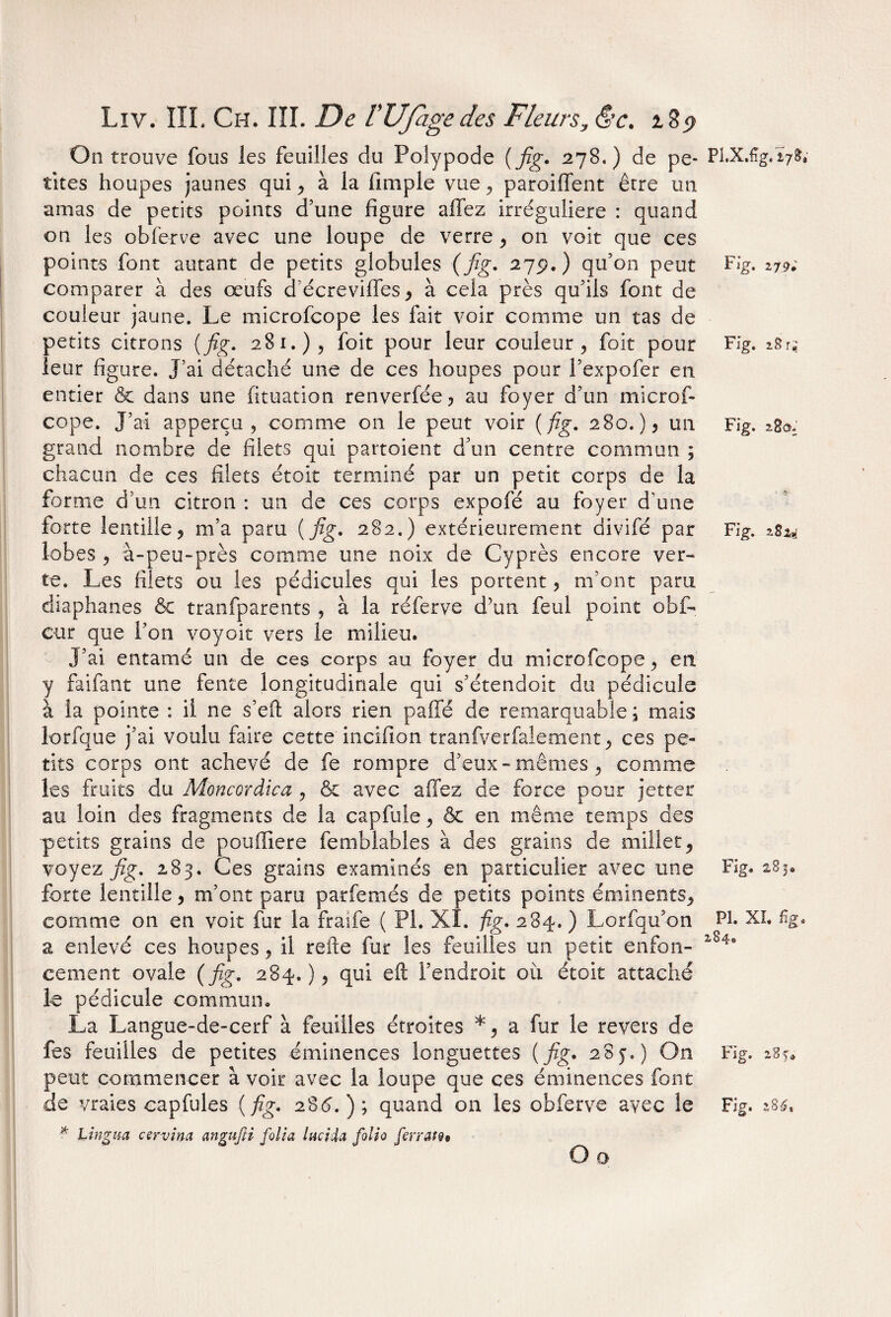 On trouve fous les feuilles du Poîypode (fig. 278.) de pe¬ tites houpes jaunes qui , à la fimple vue , paroiffent être un amas de petits points d’une figure allez irrégulière : quand on les obferve avec une loupe de verre , on voit que ces points font autant de petits globules (fig. 27p.) qu’on peut comparer à des œufs d’écrevilles , à cela près qu’ils font de couleur jaune. Le microfcope les fait voir comme un tas de petits citrons (fig. 281.), foit pour leur couleur, foit pour leur figure. J’ai détaché une de ces houpes pour l’expofer en entier & dans une fituation renverfée ? au foyer d’un microf¬ cope. J’ai apperçu , comme on le peut voir (fig. 280.), un grand nombre de filets qui partoient d’un centre commun ; chacun de ces filets étoit terminé par un petit corps de la forme d’un citron : un de ces corps expofé au foyer d'une lorte lentille, m’a paru ( fig. 282.) extérieurement divifé par lobes , à-peu-près comme une noix de Cyprès encore ver¬ te. Les filets ou les pédicules qui les portent, m’ont paru diaphanes & tranfparents , à la réferve d’un feul point obf- cur que l’on voyait vers le milieu. J’ai entamé un de ces corps au foyer du microfcope, en y faifant une fente longitudinale qui s’étendoit du pédicule à la pointe : il ne s’efi: alors rien paffé de remarquable j mais lorfque j’ai voulu faire cette incifion tranfverfalement, ces pe¬ tits corps ont achevé de fe rompre d’eux-mêmes, comme les fruits du Moncoràïca, & avec allez de force pour jet ter au loin des fragments de la capfule, & en même temps des petits grains de poulïiere femblables à des grains de millet, voyez fig. 283. Ces grains examinés en particulier avec une forte lentille, m’ont paru parfemés de petits points éminents, comme on en voit fur la fraife ( PI. XI. fig. 284. ) Lorfqu’on a enlevé ces houpes, il relie fur les feuilles un petit enfon¬ cement ovale (fig. 284.), qui eft l’endroit oit étoit attaché le pédicule commun. La Langue-de-cerf à feuilles étroites *, a fur le revers de fes feuilles de petites éminences longuettes (fig. 28y.) On peut commencer à voir avec la loupe que ces éminences font de vraies capfules (fig. 285.); quand on les obferve avec le * Lingua cervina an gu fi i fiolia India folio ferrait O o Pl.X.%. 278, Fig. 279; Fig. 18 Tm Fig. 2.8©; Fig. 2.82^ Fig. 2,83® PI. XL fig. 284e Fig. 28 y* Fig. $86,