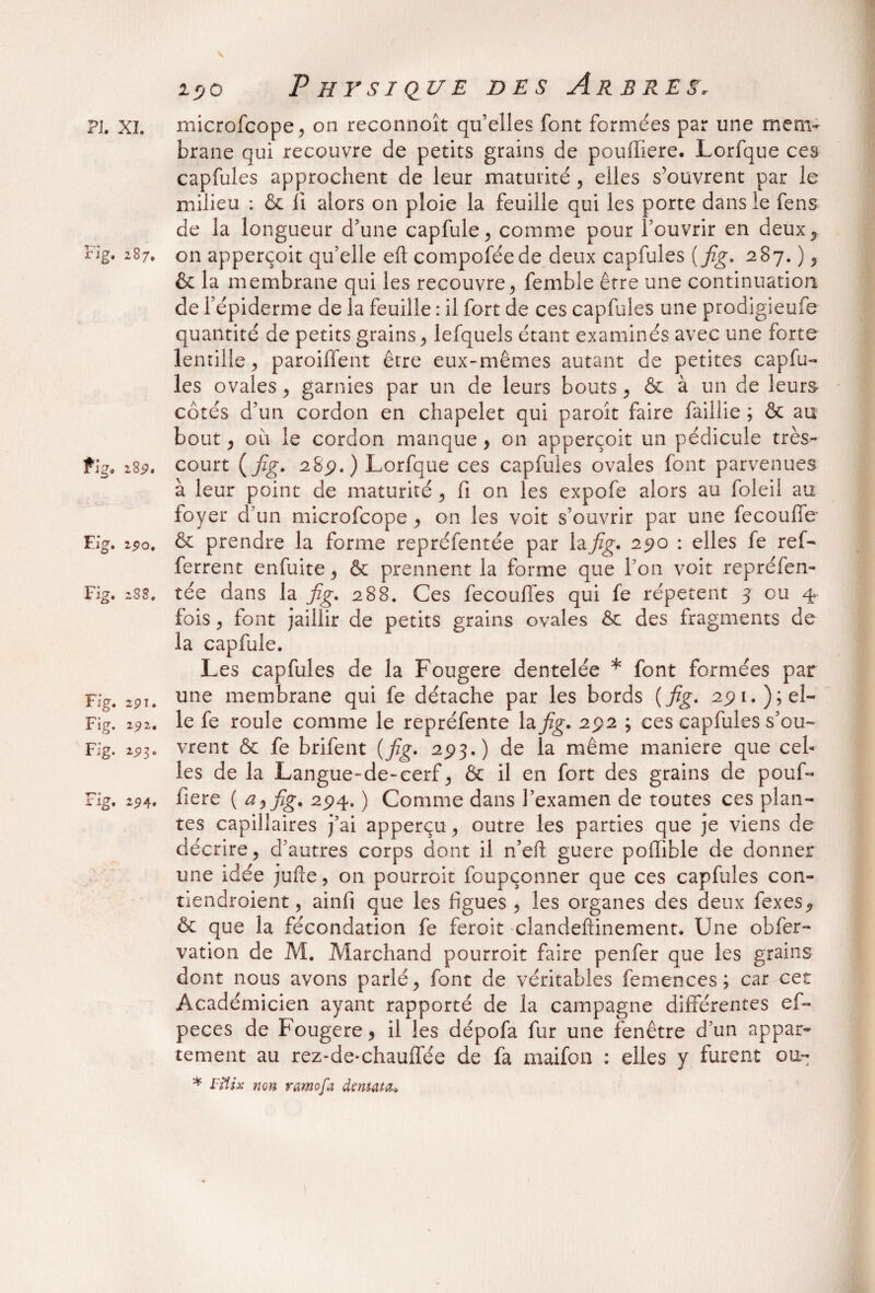 brane qui recouvre de petits grains de pouffiere. Lorfque ces capfules approchent de leur maturité , elles s’ouvrent par le milieu : & li alors on ploie la feuille qui les porte dans le fens de la longueur d’une capfule, comme pour l’ouvrir en deux, Fig. 287, on apperçoit qu’elle eft compoféede deux capfules (fig. 287. ) , & la membrane qui les recouvre, femble être une continuation de l’épiderme de la feuille : il fort de ces capfules une prodigieufe quantité de petits grains , lefquels étant examinés avec une forte lentille, paroiffent être eux-mêmes autant de petites capfu¬ les ovales, garnies par un de leurs bouts, & à un de leurs côtés d’un cordon en chapelet qui paroit faire faillie ; & au bout, 011 le cordon manque > on apperçoit un pédicule très- Ÿ\g. i%9, court {fig. 28p.) Lorfque ces capfules ovales font parvenues à leur point de maturité, fi on les expofe alors au foleii au foyer d’un microfcope, on les voit s’ouvrir par une fecoulTe Fig. 190. & prendre la forme repréfentée par la fig. 290 : elles fe ref- ferrent enfuite, & prennent la forme que l’on voit repréfen- Fig. 2S8. tée dans la fig. 288. Ces fecouflfes qui fe répètent 3 eu 4 fois , font jaillir de petits grains ovales Ôc des fragments de la capfule. Les capfules de la Fougere dentelée * font formées par Fig. 291. une membrane qui fe détache par les bords (fig. 2pi.);el- Fig. 191. le fe roule comme le repréfente la fig. 292 ; ces capfules s’ou- Fig. 223. vrent & fe brifent (fig. 293.) de la même maniéré que cel¬ les de la Langue-de-cerf, & il en fort des grains de pouf- Fîg. 294. fiere ( a, fig. 294. ) Comme dans l’examen de toutes ces plan¬ tes capillaires j’ai apperçu, outre les parties que je viens de décrire, d’autres corps dont il n’eft guere poffible de donner une idée jufîe, on pourroit foupçonner que ces capfules con- tiendroient, ainfi que les figues, les organes des deux fexes, & que la fécondation fe feroit clandeftinement. Une obfer- vation de M. Marchand pourroit faire penfer que les grains dont nous avons parlé, font de véritables femences ; car cet Académicien ayant rapporté de la campagne différentes ef- peces de Fougere, il les dépofa fur une fenêtre d’un appar¬ tement au rez-de-chauffée de fa maifon : elles y furent ou- * Fiiix non ramofa dentata.