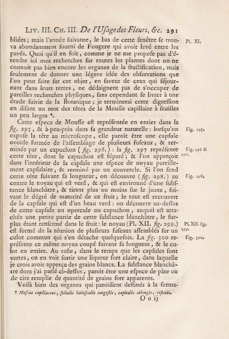foliées ; mais l’année fuivante, le bas de cette fenêtre fe trou¬ va abondamment fourni de Fougere qui avoir levé entre les pavés. Quoi qu’il en foit, comme je ne me propofe pas d’é¬ tendre ici mes recherches fur toutes les plantes dont on ne connoît pas bien encore les organes de la fructification, mais feulement de donner une légère idée des obfervations que l’on peut faire fur cet objet, en faveur de ceux qui féjour- nant dans leurs terres , ne dédaignent pas de s’occuper de pareilles recherches phyfiques, fans cependant fe livrer à une dtude fuivie de la Botanique ; je terminerai cette digreffion en difant un mot des têtes de la Mouffe capillaire à feuilles cm peu larges *. Cette efpece de Mouffe eft repréfentde en entier dans la fig. 29$ , & à-peu-près dans fa grandeur naturelle: lorfqu’on expofe la tête au microfcope , elle paroît être une capfuie ovoïde formée de Paffemhlage de plufieurs fufeaux, & ter¬ minée par un capuchon {fig* 296, ) : la fig. 297 repréfente cette tête, dont le capuchon eft féparé ; & l’on apperçoit dans l’intérieur de la capfuie une efpece de noyau pareille¬ ment capfulaire , & terminé par un couvercle. Si l’on fend cette tête fuivant fa longueur, on découvre [fig. 298.) au centre le noyau qui eft verd, & qui eft environné d’une fuhf- tance blanchâtre, & tirant plus'ou moins fur le jaune, fui¬ vant le dégré de maturité de ce fruit ; le tout eft recouvert de la capfuie qui eft d’un beau verd : on découvre au-deffus de cette capfuie un opercule ou capuchon , auquel eft atta¬ chée une petite partie de cette fubftance blanchâtre, le fur- plus étant renfermé dans le fruit: le noyau (PL XII. fig. 299.) eft formé de la réunion de plufieurs fufeaux affemblés fur un culot commun qui s’en détache quelquefois. La fig. 300 re¬ préfente ce même noyau coupé fuivant fa longueur, & le cu¬ lot en entier. Au refte, dans le temps que les capfules font vertes, on en voit fortir une liqueur fort claire, dans laquelle je crois avoir apperçu des grains blancs. La fubftance blanchâ¬ tre dont j’ai parlé ci-deffus, paroît être une efpece de pâte ou de cire remplie de quantité de grains fort apparents. Voilà bien des organes qui paroiffent deftinés à la forma- t Myfcus c api! la es us , folhlis latiujculis congejîis, çagïtulis ohiongis, reflçxis* O o ij PI. XL Fig. 295.' Fig. 296 êc 2?7- Fig. 29 S* Fl. XIL fig. W* Fig, 300.'