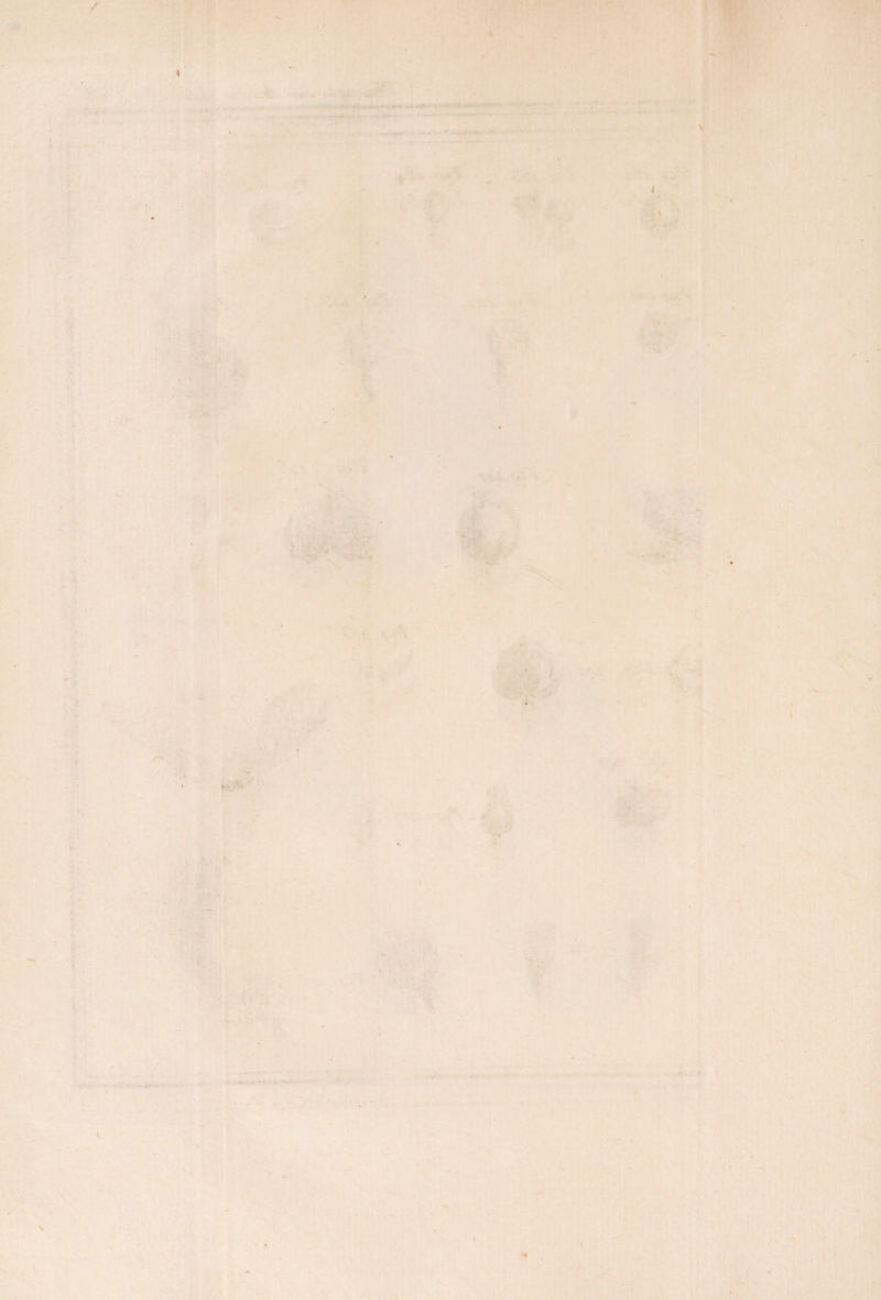 / ■K • - f • N I i . . » - ‘ / _