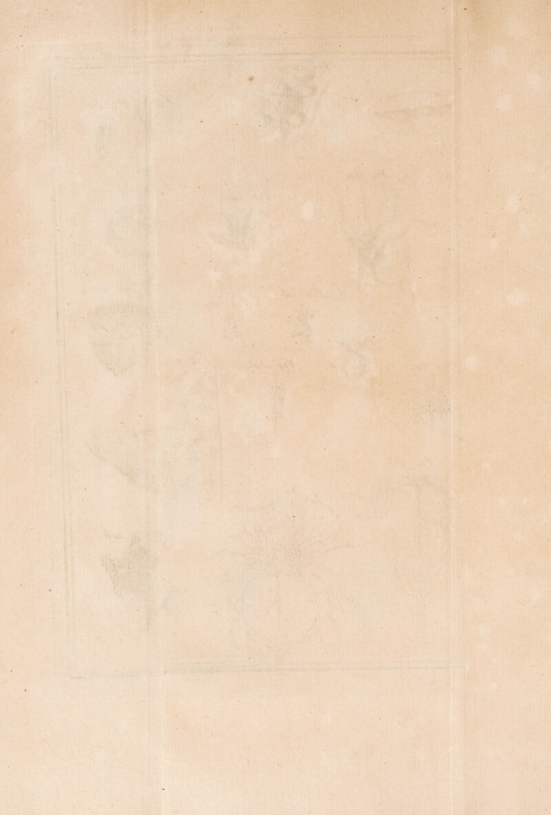 * . . ‘ ■ . !. r » - *