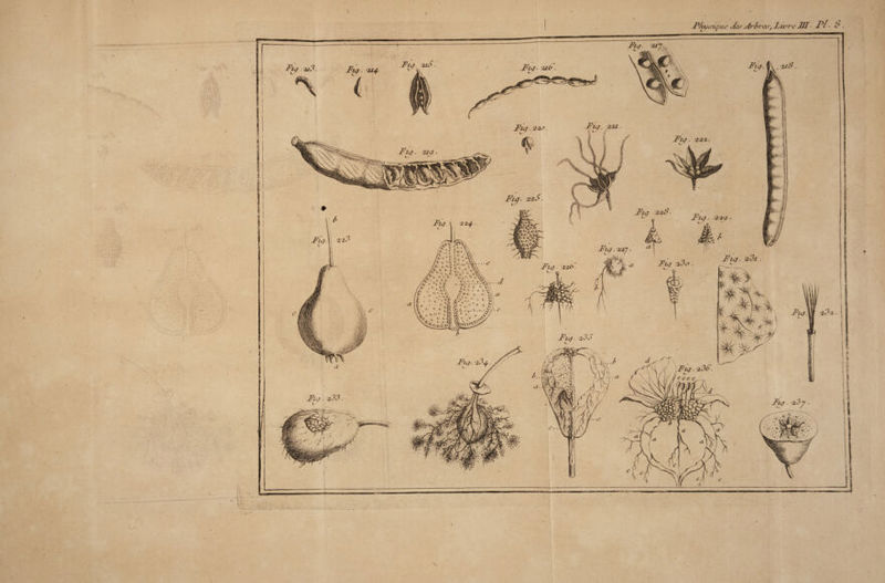 /a<-^â.7 '/très, Lu*7v III■ Pl - t7 U- P/i 'll/sii/uc c I f /.V C ( C W'Xi# fïi, i-'r' o -,4 1 c» O. ,, t t es ‘ J» v C£. 'ciçb <>£ T