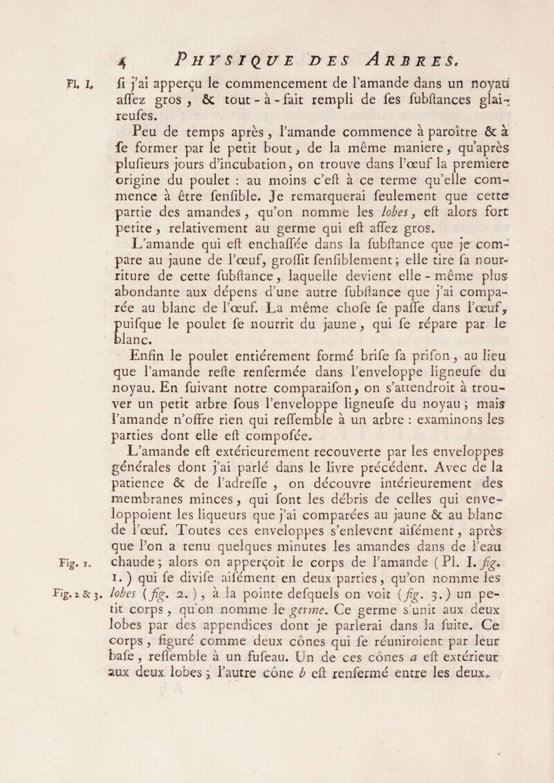 h. i. fi f aî apperçu le commencement de l’amande dans un noyau affez gros , & tout - à - fait rempli de fes fubftances glai¬ re ufes. Peu de temps après , l’amande commence à paroître & à fe former par le petit bout, de la même maniéré, qu après plufieurs jours d’incubation , on trouve dans l’œuf la première origine du poulet : au moins c’eft à ce terme qu’elle com¬ mence à être fenfible. Je remarquerai feulement que cette partie des amandes , qu’on nomme les lobes, eft alors fort petite , relativement au germe qui eft affez gros. L’amande qui eft enchaffée dans la fubftance que je com¬ pare au jaune de l’œuf, groiïit fenfiblement ; elle tire fa nour«= riture de cette fubftance, laquelle devient elle - même plus abondante aux dépens d'une autre fubftance que j’ai compa¬ rée au blanc de l’œuf. La même chofe fe pâlie dans l’œuf, puifque le poulet fe nourrit du jaune, qui fe répare par le blanc. Enfin le poulet entièrement formé brife fa prifon, au lieu que l’amande refte renfermée dans l’enveloppe ligneufe du noyau. En fuivant notre comparaifon, on s’attendroit à trou¬ ver un petit arbre fous l’enveloppe ligneufe du noyau ; mais l’amande n’offre rien qui reffemble à un arbre : examinons les parties dont elle eft compofée. L’amande eft extérieurement recouverte par les enveloppes générales dont j’ai parlé dans le livre précédent. Avec de la patience & de l’adreffe , on découvre intérieurement des membranes minces, qui font les débris de celles qui enve- loppoient les liqueurs que j’ai comparées au jaune ôt au blanc de îœuf. Toutes ces enveloppes s’enlevent aifément, après que l’on a tenu quelques minutes les amandes dans de l’eau Fig. ï. chaude ; alors on apperçoit le corps de l’amande ( PI. L fig* i. ) qui fe divife aiiément en deux parties, qu’on nomme les Fig. z & 3, lobes ( fig. 2. ), à la pointe defquels on voit ( fig. 5.) un pe¬ tit corps , qu on nomme le germe. Ce germe s unit aux deux lobes par des appendices dont je parlerai dans la fuite. Ce corps, figuré comme deux cônes qui fe réuniroient par leur bafe, refiemble à un fufeau. Un de ces cônes a eft extérieur aux deux lobes ; l’autre cône b eft renfermé entre les deux.