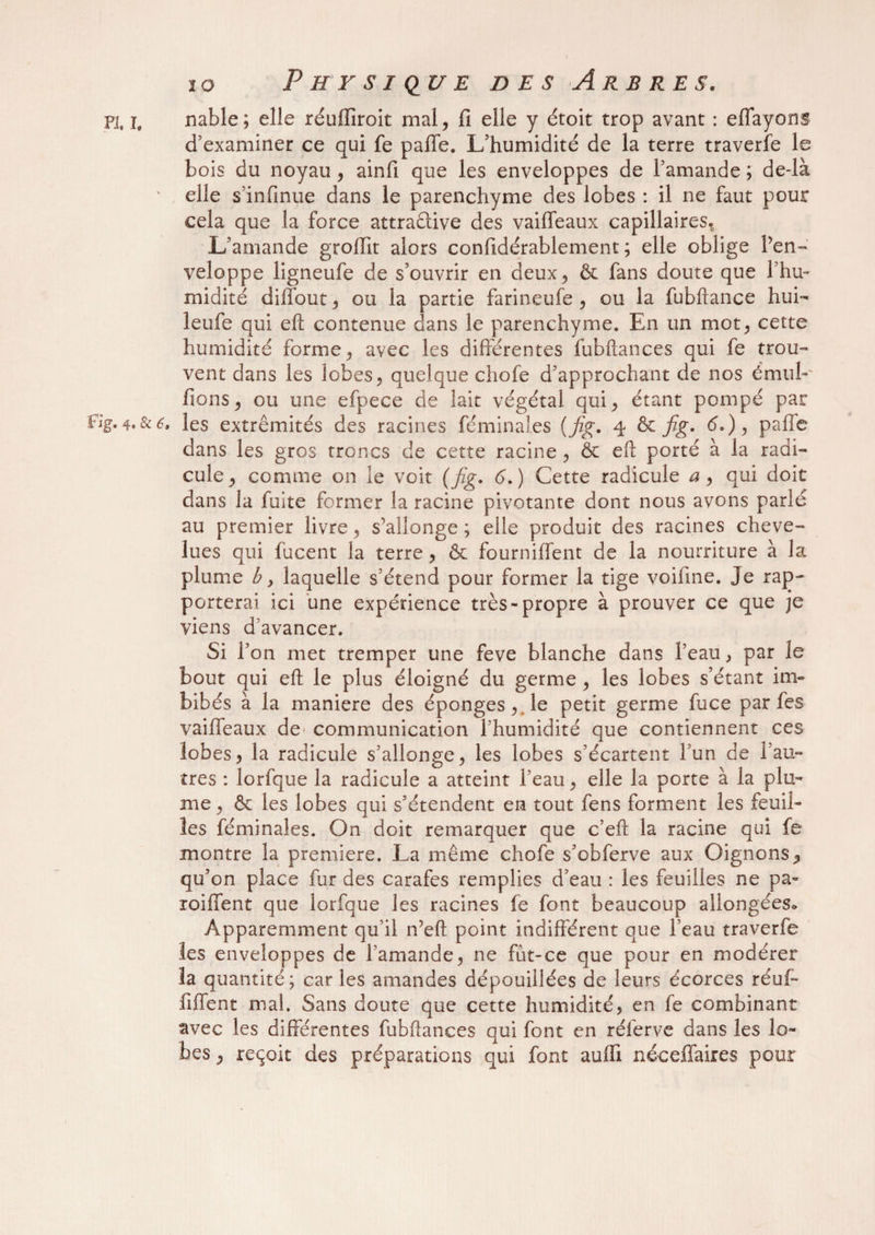PI, l„ nable; elle réuffiroit mal, fi elle y étoit trop avant : eflayons d’examiner ce qui fe paffe. L’humidité de la terre traverfe le bois du noyau , ainfi que les enveloppes de l’amande ; de-là ' elle s’infinue dans le parenchyme des lobes : il ne faut pour cela que la force attractive des vaiffeaux capillaires. L’amande groffit alors confidérablement ; elle oblige Pen- veloppe ligneufe de s’ouvrir en deux, & fans doute que l’hu¬ midité diffout, ou la partie farineufe , ou la fubftance hui- leufe qui eft contenue dans le parenchyme. En un mot, cette humidité forme, avec les différentes fubftances qui fe trou¬ vent dans les lobes, quelque chofe d’approchant de nos émul- fions, ou une efpece de lait végétal qui, étant pompé par Fig. 4.8t6, les extrémités des racines féminales {jig. 4 & jig. 6.), pafle dans les gros troncs de cette racine , & eft porté à la radi¬ cule, comme on le voit (jig. 6.) Cette radicule a, qui doit dans la fuite former la racine pivotante dont nous avons parlé au premier livre, s’allonge ; elle produit des racines cheve¬ lues qui fucent la terre, & fourniffent de la nourriture à la plume b y laquelle s’étend pour former la tige voifine. Je rap¬ porterai ici une expérience très-propre à prouver ce que je viens d’avancer. Si l’on met tremper une feve blanche dans l’eau, par le bout qui eft le plus éloigné du germe , les lobes s’étant im¬ bibés à la maniéré des éponges, le petit germe fuce par fes vaiffeaux de communication l’humidité que contiennent ces lobes, la radicule s’allonge, les lobes s’écartent l’un de l’au~ tres : lorfque la radicule a atteint l’eau, elle la porte à la plu¬ me , & les lobes qui s’étendent en tout fens forment les feuil¬ les féminales. On doit remarquer que c’eft la racine qui fe montre la première. La même chofe s’obferve aux Oignons, qu’on place fur des carafes remplies d’eau : les feuilles ne pa¬ roi lient que lorfque les racines fe font beaucoup allongées* Apparemment qu’il n’eft point indifférent que l’eau traverfe les enveloppes de l’amande, ne fut-ce que pour en modérer la quantité; car les amandes dépouillées de leurs écorces réuf- fiffent mal. Sans doute que cette humidité, en fe combinant avec les différentes fubftances qui font en réferve dans les lo¬ bes , reçoit des préparations qui font auffi néceffaires pour