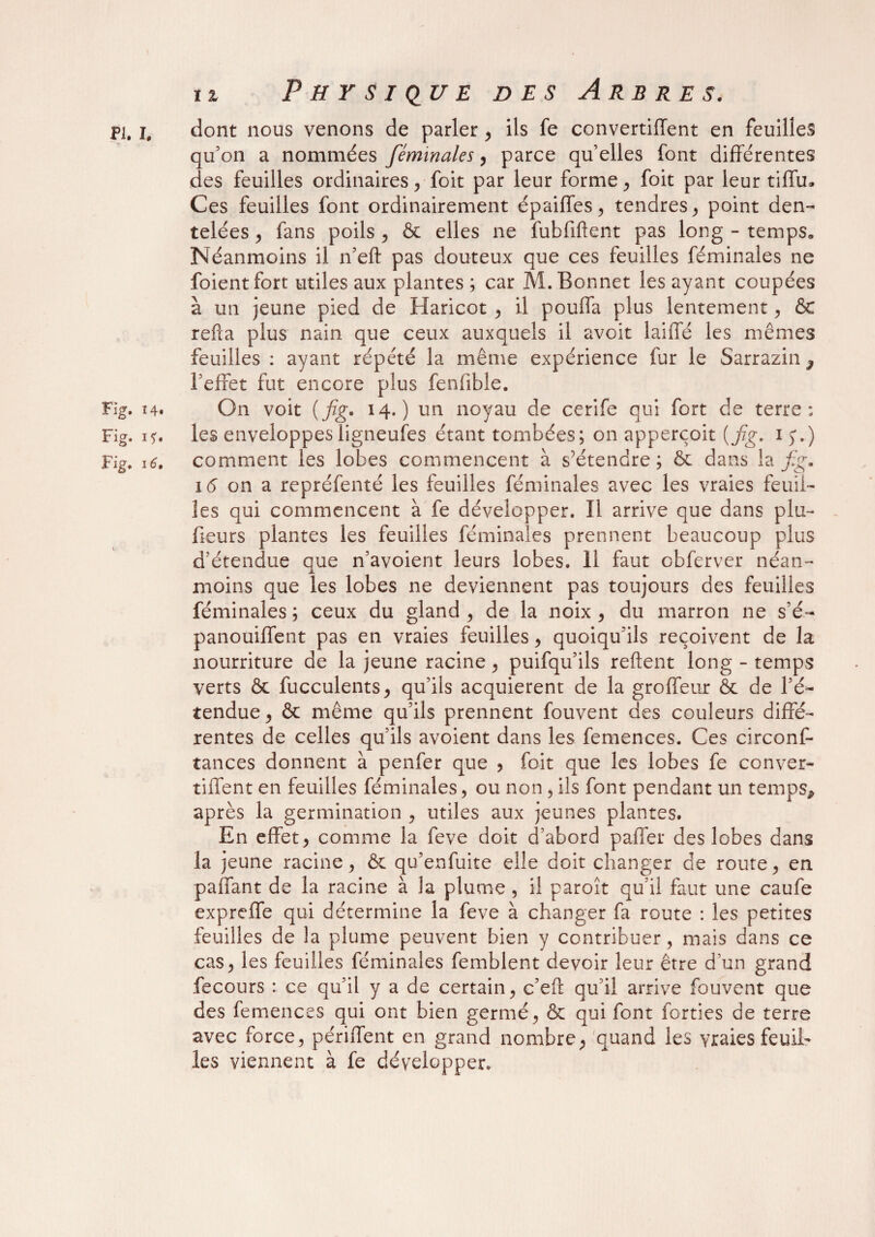 Pi. ï, dont nous venons de parler , ils fe convertiffent en feuilles qu’on a nommées féminales, parce qu’elles font différentes des feuilles ordinaires, foit par leur forme, foit par leur tiffu. Ces feuilles font ordinairement épaiffes, tendres, point den¬ telées , fans poils , & elles ne fubfiftent pas long - temps» Néanmoins il n’efl: pas douteux que ces feuilles féminales ne foientfort utiles aux plantes ; car M. Bonnet les ayant coupées à un jeune pied de Haricot , il pouffa plus lentement, & refta plus nain que ceux auxquels il avoit laiifé les mêmes feuilles : ayant répété la même expérience fur le Sarrazin ^ l’effet fut encore plus fenfible. Fig. 14. On voit (fig. 14.) un noyau de cerife qui fort de terre; Fig. i*. les enveloppesligneufes étant tombées; on apperçoit {fg. 1 5.) Fig. 16. comment les lobes commencent à s’étendre; ôc dans la fg. i(5 on a repréfenté les feuilles féminales avec les vraies feuil¬ les qui commencent à fe développer. Il arrive que dans plu- fleurs plantes les feuilles féminales prennent beaucoup plus d’étendue que n’avoient leurs lobes. 11 faut obferver néan¬ moins que les lobes ne deviennent pas toujours des feuilles féminales ; ceux du gland , de la noix , du marron ne s’é- panouiffent pas en vraies feuilles , quoiqu’ils reçoivent de la nourriture de la jeune racine , puifqu’ils reftent long - temps verts ôc fucculents, qu’ils acquièrent de la groffeur ôc de l’é¬ tendue , & même qu’ils prennent fouvent des couleurs diffé¬ rentes de celles qu’ils avoient dans les femences. Ces circonf- tances donnent à penfer que , foit que les lobes fe conver- tiffent en feuilles féminales, ou non , ils font pendant un temps, après la germination , utiles aux jeunes plantes. En effet, comme la feve doit d’abord paffer des lobes dans la jeune racine, ôc qu’enfuite elle doit changer de route, en paffant de la racine à la plume , il paroît qu’il faut une caufe expreffe qui détermine la feve à changer fa route : les petites feuilles de la plume peuvent bien y contribuer, mais dans ce cas, les feuilles féminales femblent devoir leur être d’un grand fecours : ce qu’il y a de certain, c’eft qu i! arrive fouvent que des femences qui ont bien germé, & qui font forties de terre avec force, périffent en grand nombre, quand les vraies feuil¬ les viennent à fe développer.