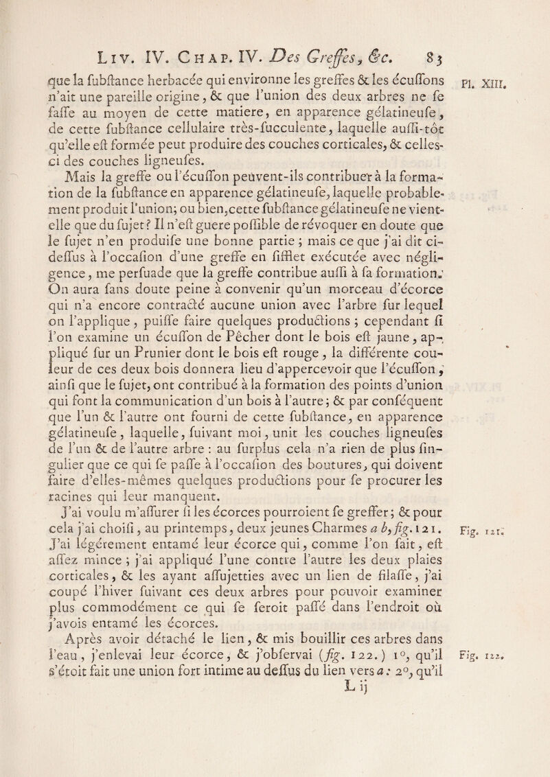 Pi. XIII. que la fubftance herbacée qui environne les greffes & les écuffons n’ait une pareille origine, & que l’union des deux arbres ne fe faffe au moyen de cette matière, en apparence gélatineufe, de cette fubftance cellulaire très-fucculente, laquelle auffi-tôc qu’elle eft formée peut produire des couches corticales, & celles- ci des couches ligneufes. Mais la greffe ou l’écuffon peûvent-ils contribuer à la forma¬ tion de la fubftance en apparence gélatineufe, laquelle probable¬ ment produit Fanion; ou bien,cette fubftance gélatineufe ne vient- elle quedufujet? Il n’eft guère poffible de révoquer en doute que îe fujet n’en produife une bonne partie ; mais ce que j’ai dit ci- deffus à Foccafion d’une greffe en fifflet exécutée avec négli¬ gence, me perfuade que la greffe contribue auffi à fa formation; On aura fans doute peine à convenir qu’on morceau d’écorce qui n’a encore contracté aucune union avec l’arbre fur lequel on l’applique, puiffe faire quelques productions ; cependant fl l’on examine un écuffon de Pêcher dont le bois eft jaune, ap¬ pliqué fur un Prunier dont le bois eft rouge, la différente cou¬ leur de ces deux bois donnera lieu d’appercevoir que l’écuffon, ainft que le fujet, ont contribué à la formation des points d’union qui font la communication d’un bois à l’autre ; & par conféquent que l’un & l’autre ont fourni de cette fubftance, en apparence gélatineufe, laquelle, fuivant moi, unit les couches ligneufes de Fun & de l’autre arbre : au furplus cela n’a rien de plus fin- gulier que ce qui fe paffe à Foccafion des boutures, qui doivent faire d'elles-mêmes quelques productions pour fe procurer les racines qui leur manquent. J’ai voulu m’affurer Ci les écorces pourroient fe greffer ; & pour cela j’ai choifî, au printemps, deux jeunes Charmes a b9 fig. 121. j’ai légèrement entamé leur écorce qui, comme l’on fait, eft âffez mince ; j’ai appliqué Fune contre l’autre les deux plaies corticales, & les ayant affujetties avec un lien de fiiaffe, j’ai coupé l’hiver fuivant ces deux arbres pour pouvoir examiner plus commodément ce qui fe feroit paffe dans l’endroit ou j’avois entamé les écorces. Après avoir détaché le lien, & mis bouillir ces arbres dans l’eau, j’enlevai leur écorce, & j’obfervai (fig. 122.) i°, qu’il s’étoit fait une union fort intime au deffus du lien verser 20, qu’il L ij Fig, 1 lia Fig» îiz*