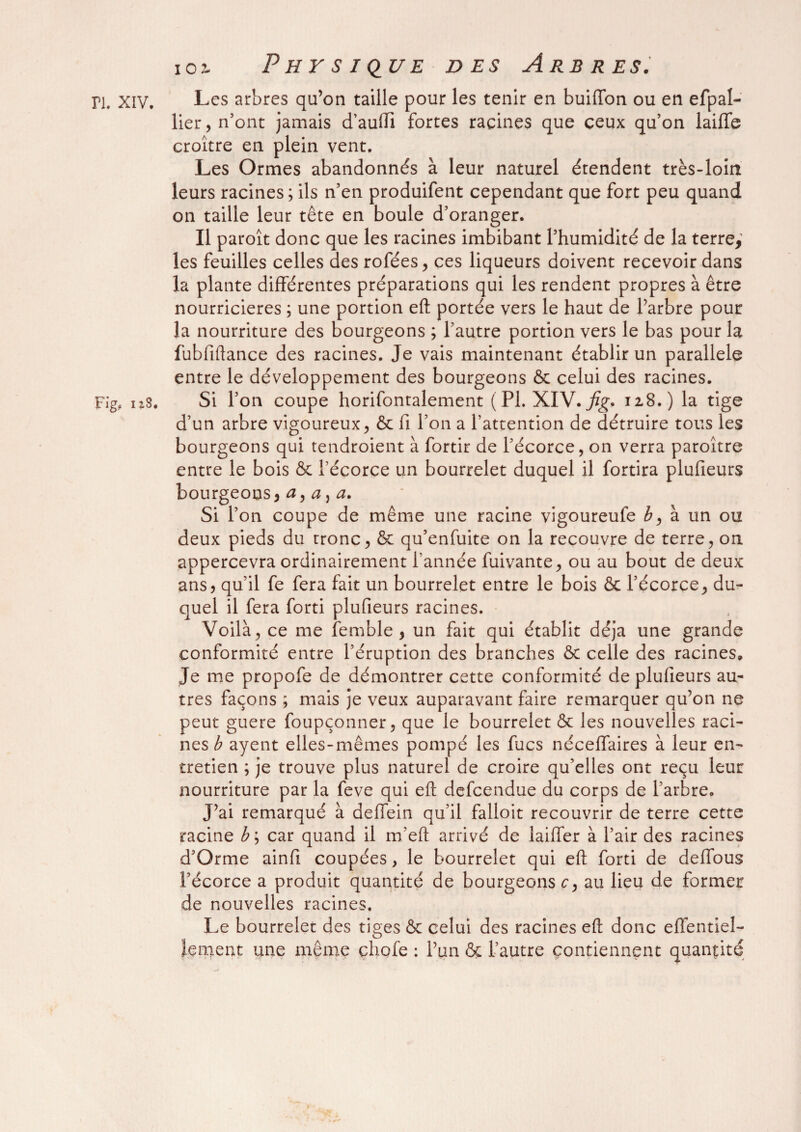 n. XIV. Les arbres qu’on taille pour les tenir en buiffon ou en efpal- lier, n’ont jamais d’aufti fortes racines que ceux qu’on laiffe croître en plein vent. Les Ormes abandonnés à leur naturel étendent très-loin leurs racines; ils n’en produifent cependant que fort peu quand on taille leur tête en boule d’oranger. Il paroît donc que les racines imbibant l’humidité de la terre, les feuilles celles des rofées, ces liqueurs doivent recevoir dans la plante différentes préparations qui les rendent propres à être nourricières ; une portion eft portée vers le haut de Parbre pour la nourriture des bourgeons ; l’autre portion vers le bas pour la fubfiftance des racines. Je vais maintenant établir un parallèle entre le développement des bourgeons & celui des racines. Fig* 1*8. Si l’on coupe horifontalement (PI. XIV. fig* 128.) la tige d’un arbre vigoureux , & fi l’on a l’attention de détruire tous les bourgeons qui tendroient à fortir de l’écorce, on verra paroître entre le bois & l’écorce un bourrelet duquel il fortira plufieurs bourgeons9 a^a^a. Si l’on coupe de même une racine vigoureufe b, à un ou deux pieds du tronc, & qu’enfuite on la recouvre de terre, on appercevra ordinairement Tannée fuivante, ou au bout de deux ans, qu’il fe fera fait un bourrelet entre le bois ôc l’écorce, du¬ quel il fera forti plufieurs racines. Voilà, ce me femble , un fait qui établit déjà une grande conformité entre l’éruption des branches ôc celle des racines» Je me propofe de démontrer cette conformité de plufieurs au¬ tres façons ; mais je veux auparavant faire remarquer qu’on ne peut guere foupçonner, que le bourrelet 6c les nouvelles raci¬ nes b ayent elles-mêmes pompé les fucs néceffaires à leur en¬ tretien ; je trouve plus naturel de croire qu’elles ont reçu leur nourriture par la feve qui eft defcendue du corps de l’arbre. J’ai remarqué à deffein qu’il falloir recouvrir de terre cette racine b\ car quand il m’eft arrivé de laiffer à l’air des racines d’Orme ainfi coupées, le bourrelet qui eft forti de deffous l’écorce a produit quantité de bourgeons c> au lieu de former de nouvelles racines. Le bourrelet des tiges 6c celui des racines eft donc efiéntiel- Içment une même chofe : l’un & l’autre contiennent quantité