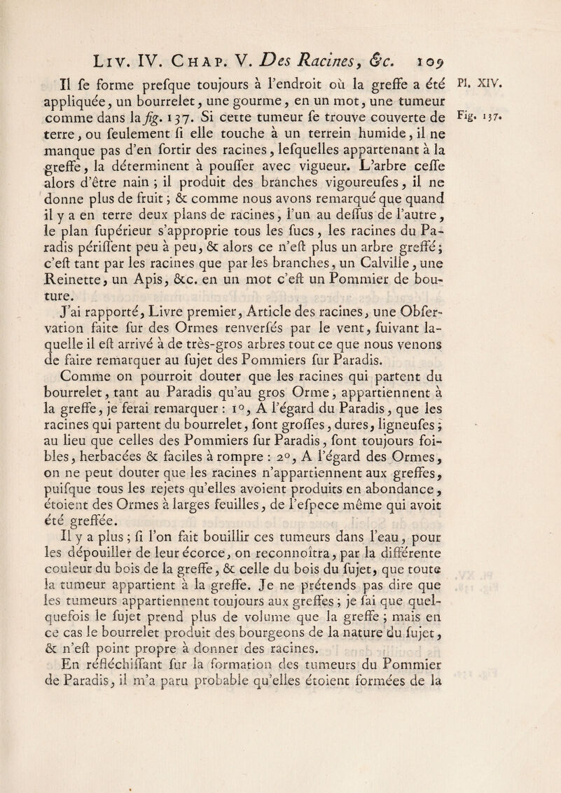 Il fe forme prefque toujours à l’endroit où la greffe a été appliquée, un bourrelet, une gourme, en un mot, une tumeur terre, ou feulement fi elle touche à un terrein humide, il ne manque pas d’en fortir des racines, lefquelles appartenant à la greffe, la déterminent à pouffer avec vigueur. L’arbre ceffe alors d’être nain ; il produit des branches vigoureufes, il ne donne plus de fruit ; & comme nous avons remarqué que quand il y a en terre deux plans de racines, l’un au deffus de l’autre, le plan fupérieur s’approprie tous les fucs, les racines du Pa¬ radis périffent peu à peu, & alors ce n’eft plus un arbre greffé; c’eft tant par les racines que par les branches, un Calville, une Reinette, un Apis, &c. en un mot c’eft un Pommier de bou¬ ture. J’ai rapporté. Livre premier, Article des racines, une Obier- vation faite fur des Ormes renverfés par le vent, fuivant la¬ quelle il eft arrivé à de très-gros arbres tout ce que nous venons de faire remarquer au fujet des Pommiers fur Paradis. Comme on pourroit douter que les racines qui partent du bourrelet, tant au Paradis qu’au gros Orme, appartiennent à la greffe, je ferai remarquer : i°, A l’égard du Paradis, que les racines qui partent du bourrelet, font groffes, dures, ligneufes ; au lieu que celles des Pommiers fur Paradis, font toujours foi- blés, herbacées & faciles à rompre : 20, A l’égard des Ormes, on ne peut douter que les racines n’appartiennent aux greffes, puifque tous les rejets qu’elles avoient produits en abondance, étaient des Ormes à larges feuilles, de l’efpece même qui avoir été greffée. Il y a plus ; fi Ton fait bouillir ces tumeurs dans l’eau, pour les dépouiller de leur écorce, on reconnoîtra, par la différente couleur du bois de la greffe, & celle du bois du fujet, que toute la tumeur appartient à la greffe. Je ne prétends pas dire que les tumeurs appartiennent toujours aux greffes ; je fai que quel¬ quefois le fujet prend plus de volume que la greffe ; mais en ce cas le bourrelet produit des bourgeons de la nature du fujet, & n’eft point propre à donner des racines. En réfléchiffant fur la formation des tumeurs du Pommier de Paradis, il m’a paru probable qu’elles étoient formées de la Pi. XIV.