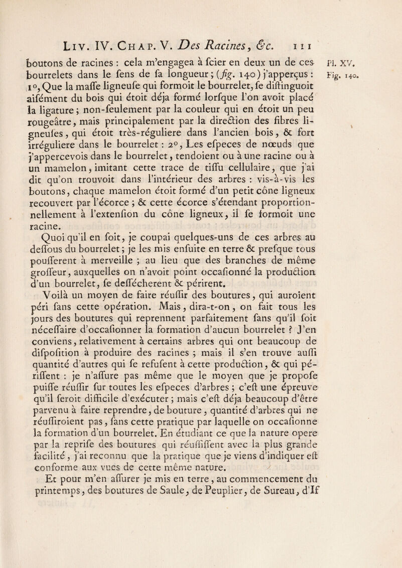 boutons de racines : cela m’engagea à fcier en deux un de ces pi. xv. bourrelets dans le fens de fa longueur ; (fig. 140) j’apperçus : Fig, 140. 4°, Que la maffe ligneufe qui formoit le bourrelet, fe diftinguoit aifément du bois qui étoit déjà formé lorfque l’on avoit placé la ligature ; non-feulement par la couleur qui en étoit un peu rougeâtre, mais principalement par la direction des fibres li- gueules, qui étoit très-réguliere dans l’ancien bois , & fort irrégulière dans le bourrelet : 20 , Les efpeces de noeuds que j’appercevois dans le bourrelet, tendoient ou aune racine ou à un mamelon * imitant cette trace de tiffu cellulaire, que j’ai dit qu’on trouvoit dans l’intérieur des arbres : vis-à-vis les boutons, chaque mamelon étoit formé d’un petit cône ligneux recouvert par l’écorce ; & cette écorce s’étendant proportion¬ nellement à l’extenfion du cône ligneux , il fe formoit une racine. Quoi qu’il en foit, je coupai quelques-uns de ces arbres au deffous du bourrelet ; je les mis enfuite en terre & prefque tous pouffèrent à merveille ; au lieu que des branches de même groffeur, auxquelles on n’avoit point occafionné la production d’un bourrelet, fe deffécherent ôc périrent. Voilà un moyen de faire réufiir des boutures, qui auroient péri fans cette opération. Mais, dira-t-on, on fait tous les jours des boutures qui reprennent parfaitement fans qu’il foit néceffaire d’occafionner la formation d’aucun bourrelet ? J’en conviens, relativement à certains arbres qui ont beaucoup de difpofition à produire des racines ; mais il s’en trouve auffî quantité d’autres qui fe refufent à cette production, & qui pé- riffent : je n’aflure pas même que le moyen que je propofe puiffe réufiir fur toutes les efpeces d’arbres ; c’eft une épreuve qu’il feroit difficile d’exécuter ; mais c’eft déjà beaucoup d’être parvenu à faire reprendre, de bouture, quantité d’arbres qui ne réuffiroient pas, fans cette pratique par laquelle on occafionné la formation d’un bourrelet. En étudiant ce que la nature opéré par la reprife des boutures qui réuffiffent avec la plus grande facilité, j’ai reconnu que la pratique que je viens d’indiquer eft conforme aux vues de cette même nature. Et pour m’en affurer je mis en terre, au commencement du printemps, des boutures de Saule, de Peuplier, de Sureau, d’If