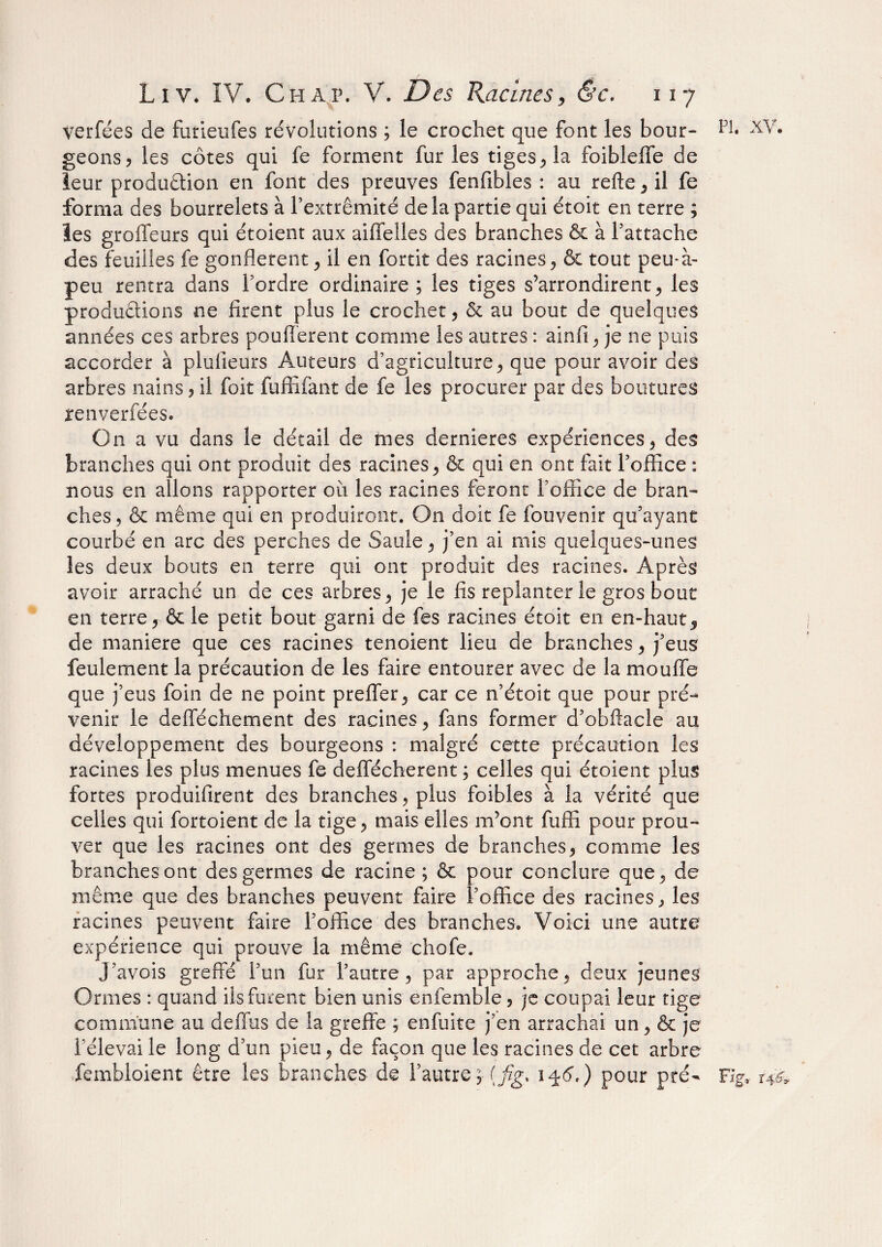 ver fée s de furieufes révolutions ; le crochet que font les bour- geons ? les côtes qui fe forment furies tiges, la foibleffe de leur produftion en font des preuves fenfibles : au refte , il fe forma des bourrelets à l’extrémité de la partie qui étoit en terre ; les grofleurs qui étoient aux aiffelles des branches & à l’attache des feuilles fe gonflèrent, il en fortit des racines, & tout peu*à- peu rentra dans l’ordre ordinaire ; les tiges s’arrondirent , les productions ne firent plus le crochet, & au bout de quelques années ces arbres pouffèrent comme les autres : ainfi, je ne puis accorder à plulieurs Auteurs d’agriculture, que pour avoir des arbres nains, il foit fuffifant de fe les procurer par des boutures renverfées. On a vu dans le détail de mes dernieres expériences, des branches qui ont produit des racines, & qui en ont fait l’office : nous en allons rapporter où les racines feront l’office de bran¬ ches, & même qui en produiront. On doit fe fouvenir qu’ayant courbé en arc des perches de Saule, j’en ai mis quelques-unes les deux bouts en terre qui ont produit des racines. Après avoir arraché un de ces arbres, je le fis replanter le gros bout en terre, & le petit bout garni de fes racines étoit en en-haut3 de maniéré que ces racines tenoient lieu de branches, j’eus feulement la précaution de les faire entourer avec de la moufle que j’eus foin de ne point preffer, car ce n’étoit que pour pré¬ venir le defféchement des racines, fans former d’obftacle au développement des bourgeons : malgré cette précaution les racines les plus menues fe deffécherent ; celles qui étoient plus fortes produifirent des branches, plus foibles à la vérité que celles qui fortoient de la tige, mais elles m’ont fuffi pour prou¬ ver que les racines ont des germes de branches, comme les branches ont des germes de racine ; & pour conclure que, de même que des branches peuvent faire l’office des racines, les racines peuvent faire l’office des branches. Voici une autre expérience qui prouve la même chofe. J’avois greffé l’un fur l’autre, par approche, deux jeunes Ormes : quand ils furent bien unis enfemble , je coupai leur tige commune au deffus de la greffe ; enfuite j’en arrachai un, & je l'élevai le long d’un pieu, de façon que les racines de cet arbre fembloient être les branches de l’autre, (fig> i^<5\) pour pré- Fig, 10*