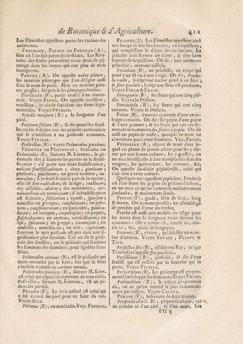 Les Fleuriftes appellent fanes les racines des anémones. Pâturage, Pacage ou Padcuan(A), lieu ou l’on fait paître les beftiaux. Les Rive¬ rains des forêts prétendent avoir droit de pâ¬ turage dans les ventes qui ont plus de trois bourgeons. Pâture (A). On appelle vaine pâture , les mauvais pâturages que l’on déftgne auffi fous le nom de par A. Mais on nomme -pâtu¬ res grajfes, les prés & les pâturages fertiles. Pavillon (B), partie évafée d un enton¬ noir. Voyez Fleur. On appelle pavillon , vexillum , le pétale fupérieur des fleurs légu- mmeufes. Voyez Pétales. Pedaiis menfiura ( B ) , la longueur d’un pied. Pedatum folium (B) , fe dit quand les feuil¬ les ouïes folioles ont des pétioles particuliers qui fe réunifient à un pédicule commun. Yoyez Feuille. Pedicellus (B) : voyez Pedunculus partitus. Pédicule ou Péduncule , Pediculus ou Pedunculus (B). Suivant M. Linnæus , le pé¬ duncule fert à foutenir les parties de la frudi- fication : s’il porte une feule fructification, unicam firuttificationem ; deux , geminam ; plufîeurs , plurimam ; un grand nombre , mi~ merofam ; h la fruéffication part de la racine , elle eft dite radicalem; de la tige , caulinarn; des ailfelles, alarem ; des extrémités, ter- minatricem ou terminatam ; fi iafrudification eft folitaire , folitariam ; éparfe , fparfam ; ramaflee en groupes, conglobatam\ en pelo¬ tons , conglomeratam ; en pamcules, panicu- latam ; en bouquet, corymbofam ; en paquet, fafciculatam ; en anneau, verticillatam; en épi, fpicatam ; en grappe , racemofam ; en umbelle , umbellatam ; en tête , capitatam. Souvent le mot pédicule eft pris dans une li¬ gnification plus étendue. Car on dit le pédi¬ cule des feuilles, ou le pédicule qui foutient les fommets des étamines, pour lignifier leurs filets. Peduncuhts cernuus (B), eft le pédicule qui étant recourbé par le haut, fait que la fleur s’incline comme au carâuus nutans. P edunculus partiras (B) , fuivant M. Linn. eft celui qui répand les rameaux de tous côtés. Pedicellus, ftiivant M. Linnæus, eft un pé¬ duncule partiel. Pelard (F). Le bois pelard eft celui qui a été écorcé fur pied pour en faire du tan. Voyez Bois. Peltatus (B), enrondache.Voy, Feuille, Peluche (J). Les Fleuriftes appellent ainft une houpe de feuilles étroites, ou béquiilons, qui rempüfTent le difque des anémones. La peluche doit former un dôme , & être bien fournie de béquiilons. On dit : une anémone peluchée , anemona vil lofa. Pendulum (B) , un pendule, un corps qui pend à un fil ou à une verge. On d.'t, Pendu- la radix, lorfqu’une racine pend â un filet ; & fore pendulo , lorfqu’une fleur eft pendante. Voyez Fleur & Fruit. Pentagynia (B), les fleurs qui ont cinq pif- tils. Voyez la Préface. Pentanclria (B), les fleurs qui ont cinq tamines. Voyez la Préface. Pépin (B), femence couverte d’une enve¬ loppe coriacée. On dit : Le pépin d’une poire & d’une pomme ; & les fruits qui ont ces Ce- mences fe nomment des fruits à pépin. On dit aufti un pépin de raifin , quoique ce nom 11e convienne pasâ cette lemence. Voy. Fruit, Pépinière (A), efpace de terre dans le¬ quel on plante de jeunes arbres pour les y éle¬ ver par une bonne culture , les y greffer, en un mot iesdifpofer à être tranfplantés dans les vergers, les quinconces, les avenues, &c» On appelle Jardinier pépinierifle, celui qui s’adonne à cette culture. Quelques-uns appellentpepiniere, l’endroit où l’on fème les pépins ou graines d’arbres , en un mot ce qu’on nommoit anciennement feminaire, & maintenant femis. Perche (F) , gaule, brin de bois, long 8c menu. On nomme perchis, un affemblage de perches qui forme un enclos. Perche eft aufti une meiùre en ufage pour les terres dont la longueur varie fuivant les coutumes : elle a tantôt 18 , tantôt 20, tan¬ tôt 22 , &c. pieds de longueur. Perennis (B), vivace , qui fublifte un nom¬ bre d’années. Voyez Vivace , Plante 8c Tige. PerfeCîus fios (B) , eft fuivant Ray, ce que Tournefort appelle fios petalodes. Perfioliatus ( B ) , perfolié , fe dit d’une feuille qui eft enfilée par la branche qui la porte. Voyez Feuille. Pericarpium (B). Le péricarpe eft propre¬ ment l’enveloppe des femences.Voyez Fruit, Perianthium ( B ) , le calyce proprement dit, ou ce qu’on entend le plus communé¬ ment par calyce. Voyez Calyce. Perots (F), baliveaux de deux coupes. Perpendicularis (B) , perpendiculaire , qui ne panche ni d’un côté, ni d’un autre. Les Fff ij