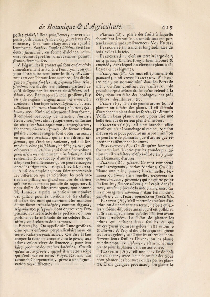 poils; glahru liffes ; pubefcentes, couverts de petits poils blancs; [cabri, rugofi, relevés d’é¬ minence , & comme chagrinés; eu égard à leur forme, fimplex, fimple ; bîjidus, diviCé en deux; fubulatus , en forme d’aleine; recur- vus, recourbé ; redïus, droit \acutus , pointu; Jirmus, ferme , &c. A l’égard desftigmatesqui font quelquefois immédiatement attachés à l’embryon , ou qui pour l’ordinaire terminent le ftile, M. Lin- næus en conliderant leur nombre, les diftin- gue en Jligma fimplex, & ftigmata bina, plurima, ou divifés en plufieurs parties; ce qu’il déligne par les termes de bifidum, rrz- jîdum , &c. Par rapport à leur groffeur , il y en a de crajjitm , crajjiufculum, & ; en conliderant leurfiiperficie,pwùe/cmf ; d’autres, villofum ; d’autres, plumofum ; d’autres, gLz- , &c. Enfin relativement à leur forme, il emploie beaucoup de termes, lineare, étroit; obtufüm, obtus ; capitatum, en forme de tête ; capitato-capitatum , emarginatum , échancré ; obtuse trigomim, de forme trian¬ gulaire , dont les angles font obtus ; acutum, en pointe ; ereffum , qui fe tient droit ; ffz- flexum , qui s’incline ; contcum, qui a la for¬ me d’un cône; hifpidum, hériffé; patens , qui eft ouvert ; cirrhofum , qui forme une volute ; penicilliforme, en pinceau ; inclufum, qui efl renfermé ; & beaucoup d’autres termes qui délignem les différences qu’on peut remarquer entre les ftigmates. Voyez Liv. III. p. 224. Ainli on emploie , pour faire appercevoir les différences qui caraétérifent les trois par¬ ties des piftils, un grand nombre de termes qu’il ne nous eft pas pofïibie de rapporter. Il nous fuffira de faire remarquer, que comme M. Lirmæus a prêté attention au nombre des piftils pour la divifion de fos clafies, Il a fait des mots qui expriment les nombres d’une façon très-abrégée, comme digynia, srigynia, Scc.polygynia, dont on trouvera l’ex¬ plication dans l’article de la préface , où nous parlons de la méthode de ce célébré Bota- nifte, ou à chacun de ces mots. Pivot (B). On appelle ainff une groffe ra¬ cine qui s’enfonce perpendiculairement en terre , radix perpendicularis. On dit : Il faut couper la racine pivotante , ou le pivot, aux arbres qu’on éleve de femence , pour leur faire produire des racines latérales. On dit qu’un arbre pivote, quand il a cette racine qui s’enfonce en terre. Voyez Racine. En terme de Charpenterie , pivot a une lignifi¬ cation très-différente. Placenta (B) , partie des fruits à laquelle aboutiffent les vaiffeaux umbilicaux qui por¬ tent la nourriture auxfemences. Voy.Fruit» Planche (F) , tranches longitudinales de bois levées à la foie. Planche (J) , c’eft un terrein large de 3 ou 4 pieds, & allez long , bien labouré 8c amendé, dans lequel on éleve des plantes dé¬ licates & des légumes. Plançons (F). Ce mot eft fynonyme de plamard ; ainfi voyez Plantard. Mais ou¬ tre cela , on nomme ainfi dans les Ports de mer, où l’on conftruit des vaiffeaux , de grands corps d’arbres droits qu’on refend à la foie, pour en faire des bordages, des pré-, ceintres, des iiloires , &c. Plant (F) , fe dit de jeunes arbres bons a planter ou à faire des plants. Il eft défendu d’arracher du plant dans les forêts. Onditaufïi: Voilà un beau plant d’arbres, pour dire une belle étendue de terrein planté en arbres. Plantard (F), eft une branche affez groffe qui n’a ni branchage ni racine, & qu’on met en terre pourproduire un arbre ; ainfi on ne peut faire de plantards que d’arbres qui re¬ prennent aifément de bouture. Plantation (A). On dit qu’un homme a fort amélioré fa terre par les grandes planta¬ tions qu’il y afaites, c’eft-à-dire, en y plan¬ tant beaucoup d’arbres. Plante (B), planta. Ce mot comprend j tous les végétaux , herbes & arbres. On dit : Plante annuelle, annua; bis-annuelle, bis- annua ou bima ; tris-annuelle, tri s annua ou trima ; vivace , perennis ; qui ne quitte point fos feuilles, femper virent ; qui croit dans la mer, marina % près de la mer, maritima ; fur les montagnes , montana ; dans les marais , palujlris ; dans l’eau , aquatica ou fluviatilis» Planter (A), ''c’eft mettre les racines d un arbre ou d’une plante en terre, deforte qu’el¬ les y foient difpofées autant qu’il eft pofïibie^ aufti avantageufement qu’elles l’étoient avant d’être arrachées. La faifon de planter les arbres qui quittent leurs feuilles & qui ne craignent point les gelées, eft l’automne & l’hiver. A l’égard des arbres qui craignent les fortes gelées , ainfi que les arbres qui con- forvent leurs feuilles l’hiver , on les plante au printemps. Jranfplanter , eft arracher une plante pour la planter dans un autre lieu. Plantoir (A), eft une chevilfo èe bois dur ou de fer , avec laquelle on fait des trous pour planter les boutures ou les petites plan¬ tes. Dans quelques provinces, on plante 1%