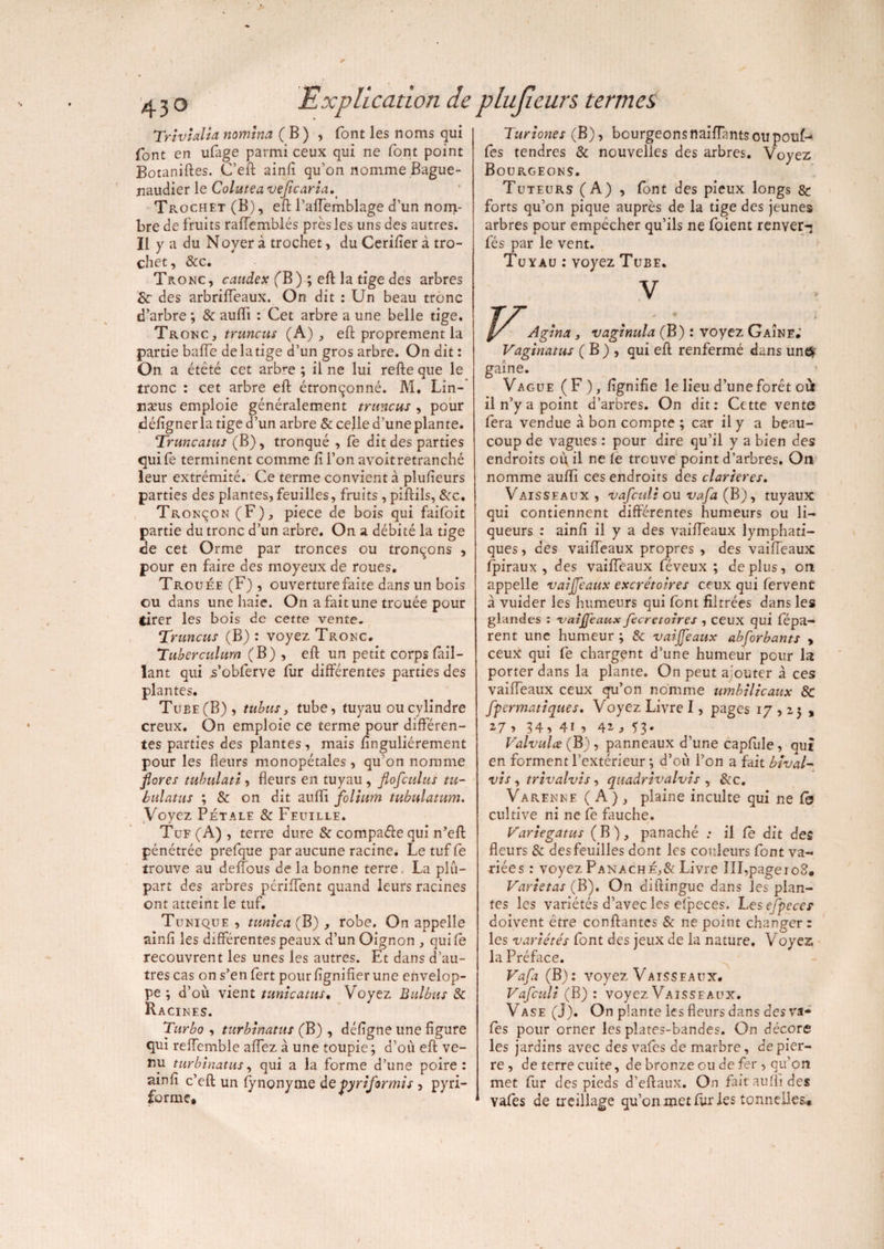 TrivialU nomma (B) , font les noms qui font en ufage parmi ceux qui ne font point Botaniftes. C’eft ainfi qu’on nomme Bague- naudier le Colutea vejicaria. Trochet (B), eft l’aflemblage d’un nom¬ bre de fruits raflemblés près les uns des autres. Il y a du Noyer à trochet, du Cerifier à tro¬ chet, &c. Tronc, caudex (B) ; eft la tige des arbres 3c des arbriffeaux. On dit : Un beau tronc d’arbre ; & aufti : Cet arbre a une belle tige. Tronc, truncus (A), eft proprement la partie balle de la tige d’un gros arbre. On dit : On a étêté cet arb^e ; il ne lui refte que le tronc : cet arbre eft étronçonné. M. Lin- næus emploie généralement truncus , pour déftgner la tige d’un arbre & celle d’une plante. Truncatus (B), tronqué , le dit des parties qui le terminent comme lil’on avoitretranché leur extrémité. Ce terme convient à plufieurs parties des plantes,feuilles, fruits, piftils, Scc. Tronçon (F), piece de bois qui faifoit partie du tronc d’un arbre. On a débité la tige de cet Orme par tronces ou tronçons , pour en faire des moyeux de roues. Trouée (F) , ouverture faite dans un bois ou dans une haie. On a fait une trouée pour tirer les bois de cette vente. Truncus (B) : voyez Tronc. Tuberculum (B) , eft un petit corps Tail¬ lant qui s’obferve fur différentes parties des plantes. Tuee(B), tu bus y tube, tuyau ou cylindre creux. On emploie ce terme pour différen¬ tes parties des plantes , mais finguliérement pour les fleurs monopétales, qu’on nomme flores tuhulati, fleurs en tuyau , flofculus tu- bulatus ; & on dit aufli folium tubulatum. Voyez Pétale 8c Feuille. Tuf (A) , terre dure & compare qui n’eft pénétrée prefque par aucune racine. Le tuf fe trouve au delîous de la bonne terre. La plu¬ part des arbres périlfent quand leurs racines ont atteint le tuf. Tunique , tunica (B) , robe. On appelle ainfi les différentes peaux d’un Oignon , qui le recouvrent les unes les autres. Ët dans d’au¬ tres cas on s’en fert pour lignifier une envelop¬ pe ; d’où vient tunicatns, Voyez Bulbus & Racines. Turbo , turbinatus (B) , déligne une figure qui relfemble allez à une toupie ; d’où eft ve¬ nu turbinatus, qui a la forme d’une poire: ainfi c’eft un lynonyme deÿyriformis 5 pyri- fbrme. Turiones (B), bourgeons naifîants ou pouf¬ fes tendres 8c nouvelles des arbres. Voyez Bourgeons. Tuteurs (A) , font des pieux longs & forts qu’on pique auprès de la tige des jeunes arbres pour empêcher qu’ils ne foient renver-i fés par le vent. Tuyau : voyez Tube. > Agina , vaginula (B) : voyez Gaîne; Vaginatus ( B ) , qui eft renfermé dans un# gaine. Vague (F), lignifie le lieu d’une foret our il n’y a point d’arbres. On dit: Cette vente fera vendue à bon compte ; car il y a beau¬ coup de vagues : pour dire qu’il y a bien des endroits où il ne le trouve point d’arbres. On nomme aufli ces endroits des clarieres. Vaisseaux , vafeuli ou vafa (B), tuyaux qui contiennent différentes humeurs ou li¬ queurs : ainli il y a des vaifleaux lymphati¬ ques , des vaifleaux propres , des vaifleaux Ipiraux , des vaifleaux féveux ; déplus, on appelle vaifleaux excrétoires ceux qui fervent à vuider les humeurs qui font filtrées dans les glandes : 'vaifleaux fecretoires , ceux qui fépa- rent une humeur ; & vaifleaux abforbants > ceux qui fe chargent d’une humeur pour la porter dans la plante. On peut a'outer à ces vaifleaux ceux qu’on nomme umbilicaux 8c fpermatiques. Voyez Livre I, pages 17,25 , *7 > 14, 4h 4^ ?3« ValvuLx (B), panneaux d’une caplule, qui en forment l’extérieur ; d’où l’on a fait bîval- vis , trivalvis, quadrivalvis , &c. Varenne ( A ), plaine inculte qui ne Co cultive ni ne fe fauche. Variegatus (B), panaché : il le dit des fleurs & des feuilles dont les couleurs font va¬ riées : voyez Panaché,& Livre ÎII,pagero2. Varietas (B). On diftingue dans les plan¬ tes les variétés d’avec les efpeces. Les efpeces doivent être confiantes & ne point changer: les variétés font des jeux de la nature. Voyez la Préface. Vafa (B): voyez Vaisseaux. Vafculi (B): voyez Vaisseaux. Vase (J). On plante les fleurs dans des va* fes pour orner les plates-bandes. On décore les jardins avec des vales de marbre, de pier¬ re , de terre cuite, de bronze ou de fer , qu’on met fur des pieds d’eftaux. On fait aufli des vafes de treillage qu’on met fur les tonnelles..