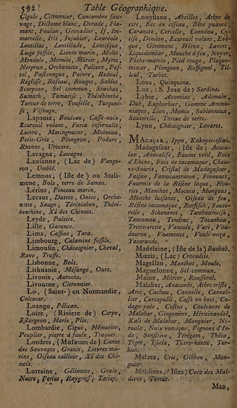 $92° Cigale , vage , Diitame DIE, Dorade , Fla- mant, Foulon, (rnadier ke f, Im- mortelle, Iris , Jujubier, Lauréole, Lentillac, Lentillade, Lenrifque, Liege foffile, Lievre marin, Meler, AMendole, Morelle, Mürier , Myrie, Nerprun, Orchaneite, Paliure , Paf- tel, Paftenague, Poivre, Redoul, Réglife out Rouger , Scorpion, Sel commun, Stæchas, Sumach,, Tamarife , Thérébinthé. Tortue de terre, Toufelle Je, Vinage. | ‘Laponie, Bouleau, Caffe-noix, Ecureuil volant, Furia infernalis, Lievre, Maringouins, Moïneau, Pert-Gris , Plongeon, Podure, Rhenne, Urocere. Lavagna, Lavagne. Laufanne , (Lac de) Vange- ron, Umblé. Lemnos , (Ifle de } ou Stali- mene, Bols, terre de Samos. Lérins, Pinceau marin. | Levant, Dares, Onice, Orcha- nette, Sauge, Téréniaben, Théré- benthine, Xé des Chinois. Leyde, Palette, a} Lille, Garance, Lima, Caffine ; Tara, Limbourg , Calamine foffile. Limoufin, Chétaignier, Cheval, Rave, Truffe, Lisbonne, Bols. Lithuanie, Méfange , Livonie, Aurochs, Livourne ; Cirronnier. Lo, (Saint-) en Normandie, ; Colcorar, Loango, Pélican. Loire, (Riviere de) Carpe, ÆEflurgeon, Harle , Plie. Lombardie 3 Ciguë, Deuplier, pierre à faulx, Ours. Hémarite, Traquet. des Sauvages , Granit, Lieyres ma- rins, Oifeau rabledr. Xé des Chi- noïs. Lorraine , -Gélinotte, - Grais , pe OVER A Louyfiane , -4beilles, rise Bec en cifeau, Bête puanré Carancre , Cercelle, Coendou, Cy= tife, Dikdon J Ecureuil vole &gt; | EvES que, Giromont, Héron, Lavert Plaque ir Pêéche-martin , Pied rouge, minier , Plongeon , Rolf gnol , leul, Tarb0e Loxa ; , Quinquina. 4 Luz, (S. Jean de) Sorti de Lybie, _Acontias , Adimain, Dub, Euphorbier, Comet AMMON niaque, Lion, Momie , Sablonneux si Sauterelle, Pries de AE + ‘Lyon, ”Chétaignier ; Lavarer. Macau, Ippo, RAD Madagafcar , (ifle de) Acoca-n lan , Anacalife, Baume verd, Bois d'Ebèhet Bois de tacamaque, Chau-\ vénSouris ? Criflal de Madagafcar  % Faifan , Fanibeantrito rs Fionouts , Hou-\ rite, Manihot, Mococo | Mongous , Mouche luifante Oifedi de feu , Réfine tacamaque , Rotfifch , Saute=W Schenante , Tambourecife 4 Térhaë Tocarhoa i Trette-trerte, V1 anéole. Vari, Voa- dourou , Po oamenes , Pouli* vote 4 Yacarande, - * ; Madeleine, ( fe dé la) Baobab. L Moris, (Lac) Crocodile. 4 Magellan , Manihot , Moule, Maguelonne, Sel Comneur, Maïhe , Märier, Roufferoë. - 4 Malabar, Ænacarde, Arbre triffe ,\ Cachou, Cannelle, Cannel-! dago-pale, Coftus, Couleuvre de Malabar, Cingembre, Héritinandel, | Kali de Malabar , Manguier , Nic ‘ ruala, Noix vomique Pignons d'In- 4 de, Sen tive, Térégam ; ‘Théce, Ÿ Tigre, aa Ti Lero* “karoë , : Téra + bite A8 à! Malaca, Cri, Mon à AR +. nier 2 + VO M: des. à Pis &gt; Coto des Male par TB UE. YA Man ; : à