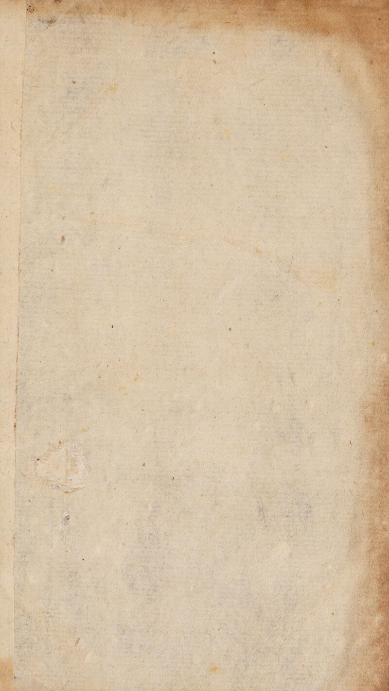 . y A • • y >. ■ 1 y: ■ .*v % i ; / | f ■ r i •’ • -.-if/ ; •*