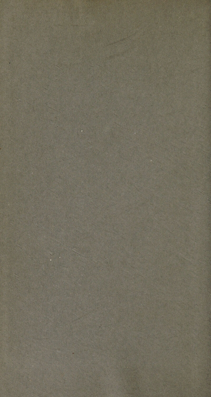 : ; ' <r- - .,>■ .