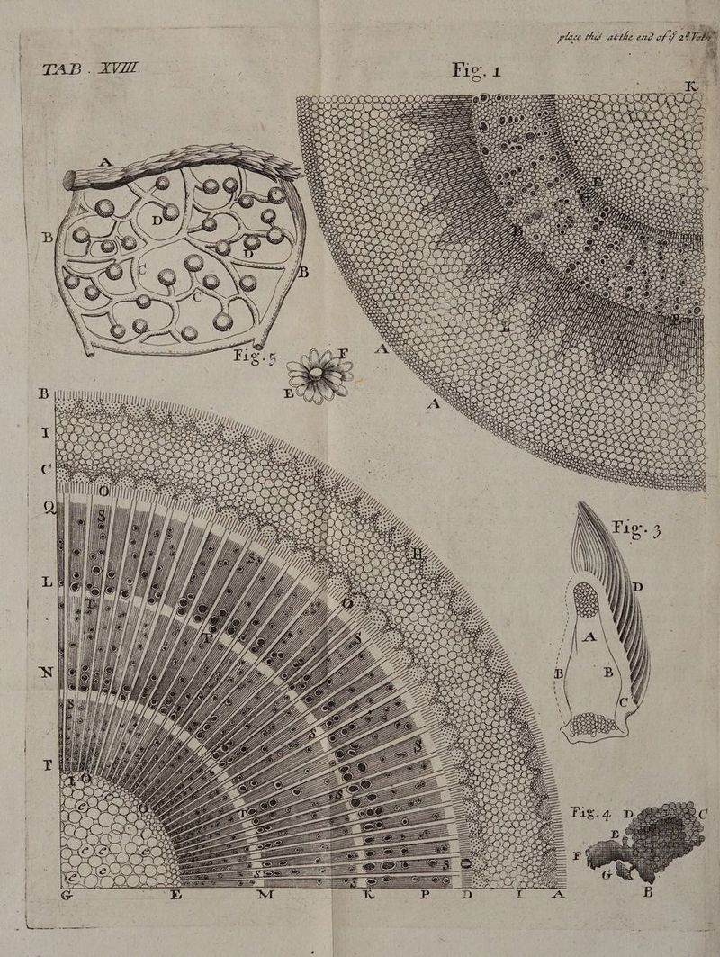 Fie. 4 oO Crm: kt) = ae Ny oe Tip ee: > Vy 96-002 yy e C2 ees Lex En cs eoene sac seanes x A 5 ieee! (OO ry i “) XZ ePEQQOUS NOs? Pee) nil} i SS See