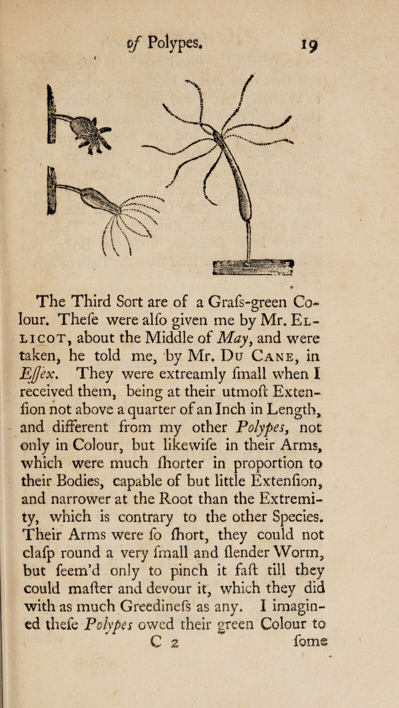 I The Third Sort are of a Grafs-green Co* lour. Thefe were alfo given me by Mr. El- li cot, about the Middle of May, and were taken, he told me, by Mr. Du Cane, in EJfex. They were extreamly fmall when I received them, being at their utmoft Exten- (ion not above a quarter of an Inch in Length, and different from my other Polypes, not only in Colour, but likewife in their Arms, which were much fhorter in proportion to their Bodies, capable of but little Extenfion, and narrower at the Root than the Extremi¬ ty, which is contrary to the other Species. Their Arms were fo fhort, they could not clafp round a very fmall and (lender Worm, but feem’d only to pinch it faft till they could mafter and devour it, which they did with as much Greedinefs as any. I imagin¬ ed thefe Polypes owed their green Colour to C 2 feme