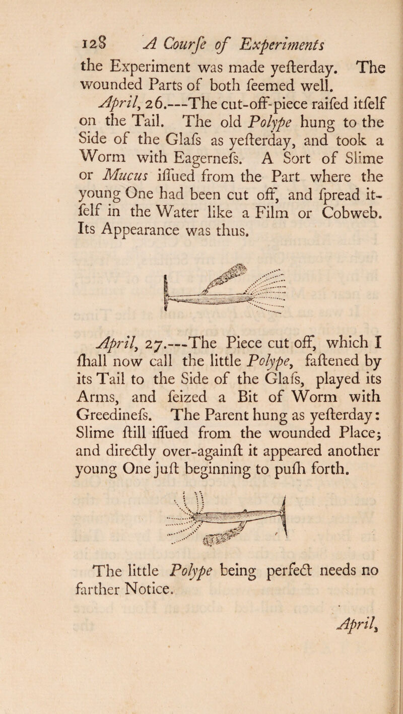 the Experiment was made yefterday. The wounded Parts of both feemed well. Aprils 26.—The cut-off-piece raifed itfelf on the Tail. The old Polype hung to the Side of the Glafs as yefterday, and took a Worm with Eagernefs. A Sort of Slime or Mucus iffued from the Part where the young One had been cut off, and fpread it- jfelf in the Water like a Film or Cobweb. Its Appearance was thus. Aprils 27.—The Piece cut off, which I fhall now call the little Polype, faftened by its Tail to the Side of the Glafs, played its Arms, and feized a Bit of Worm with Greedinefs. The Parent hung as yefterday: Slime ftill iffued from the wounded Place; and diredtly over-againft it appeared another young One juft beginning to pufh forth. The little Polype being perfedt needs no farther Notice.