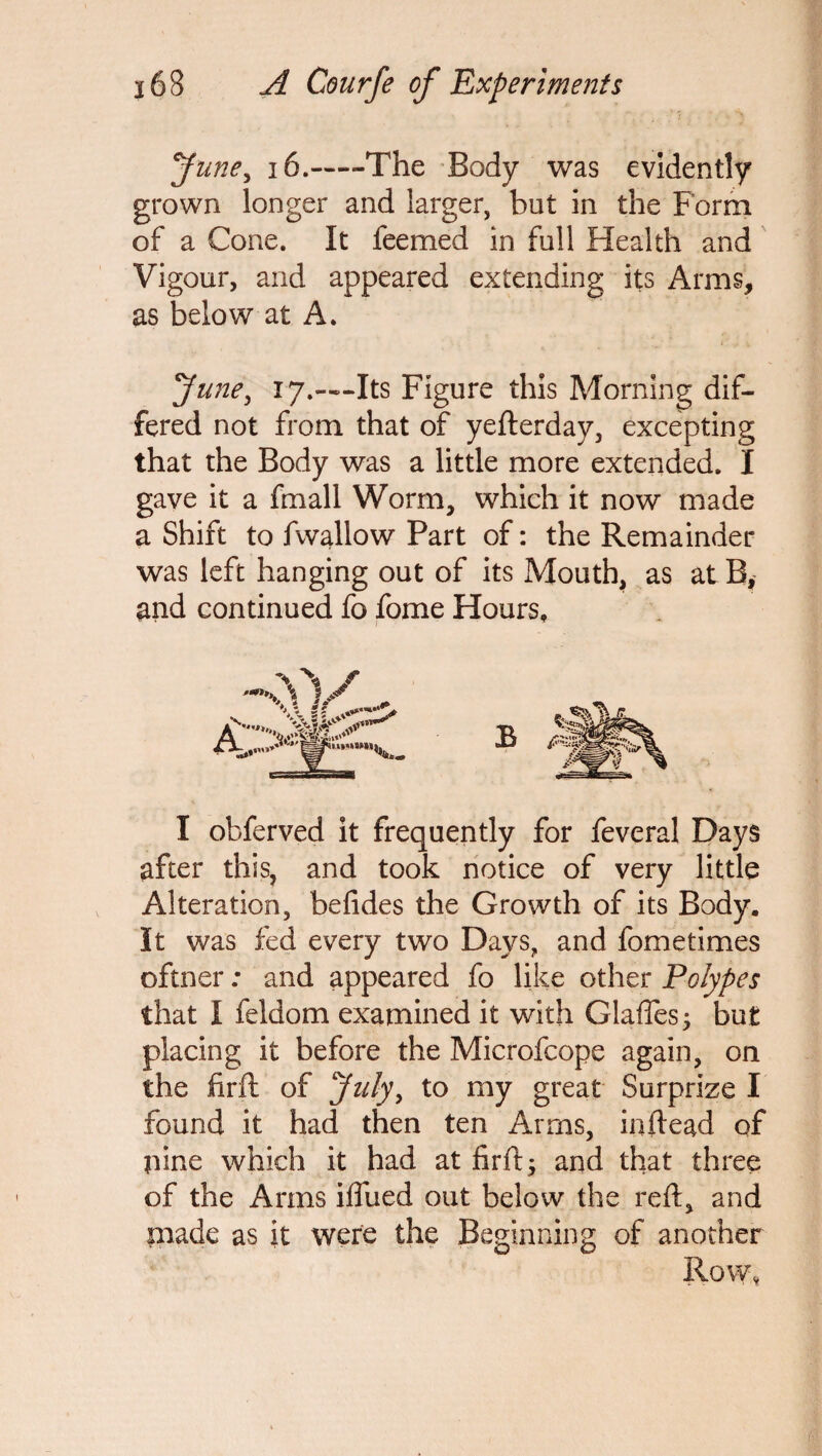 June, 16.-The Body was evidently grown longer and larger, but in the Form of a Cone. It feemed in full Health and Vigour, and appeared extending its Arms, as below at A. June, 17.---Its Figure this Morning dif¬ fered not from that of yefterday, excepting that the Body was a little more extended. I gave it a fmall Worm, which it now made a Shift to fwallow Part of: the Remainder was left hanging out of its Mouth, as at B, and continued fo fome Hours, I obferved it frequently for feveral Days after this, and took notice of very little Alteration, befides the Growth of its Body. It was fed every two Days, and fometimes oftner: and appeared fo like other Polypes that I feldom examined it with Glaftes; but placing it before the Microfcope again, on the firft: of July, to my great Surprize I found it had then ten Arms, inftead of pine which it had at firft 9 and that three of the Arms iflued out below the reft, and piade as it were the Beginning of another Row,