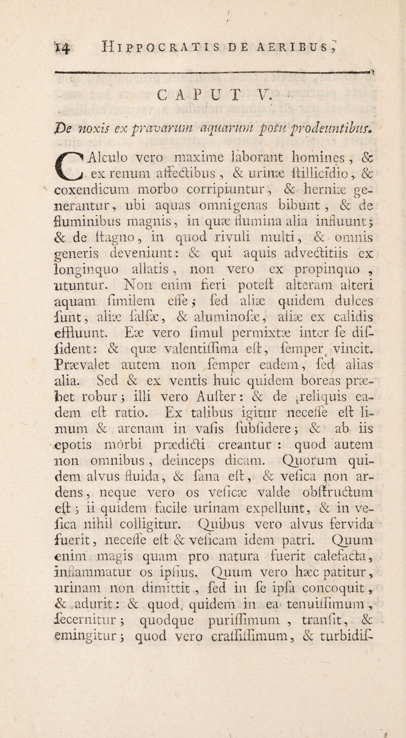 C A P U T V. ■ De noxis ex pravarum aquarum potu prodeuntibus c CAteulo vero maxime laborant homines , & ex renum affectibus , & urinae ftillicidio& coxendicum morbo corripiuntur , & herniae ge¬ nerantur , ubi aquas omnigenas bibunt, & de fluminibus magnis, in quae ilumina alia influunt, & de Itagno, in quod rivuli multi, & omnis generis deveniunt: & qui aquis adve&itiis ex longinquo allatis, non vero ex propinquo , utuntur. Non enim heri poteft alteram alteri aquam fimilem efle ,* fed aliae quidem dulces iiint, aliae falfae, & aluminofae, aliae ex calidis effluunt. Eae vero timui permixtae inter fe dif¬ fident: & quae valentiffima eft, fernper vincit. Praevalet autem non femper eadem, fed alias alia. Sed & ex ventis huic quidem boreas prae¬ bet robur; illi vero Aufter: & de ^reliquis ea¬ dem eft ratio. Ex talibus igitur necefle eft li¬ mum & arenam in vafts fubfidere $ &N ab iis epotis morbi praedidti creantur : quod autem non omnibus, deinceps dicam. Quotum qui¬ dem alvus fluida, & fana eft, & velica non ar¬ dens , neque vero os ve (leae valde obftrudtum efts ii quidem facile urinam expellunt, & in ve- fica nihil colligitur. Quibus vero alvus fervida fuerit, necefle eft & veiicam idem patri. Quum enim magis quam pro natura fuerit calefacta, inflammatur os ipiius. Quum vero haec patitur, urinam non dimittit , fed in fe ipfa concoquit, & adurit: & quod, quidem in ea tenuiftimum, decernitur; quodque puriffimum , tranfit, & «mingitur 5 quod vero crailiifimum, & turbidii- i
