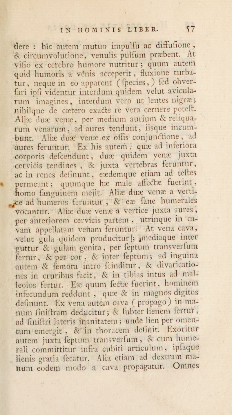 tlere : hic autem mutuo impulfu ac diffufione, & circumvolutione, venulis pulfum prxbent. At vilio ex cerebro humore nutritur; quum autem quid humoris a v5nis acceperit, fluxione turba¬ tur, neque in eo apparent (fpecics,) fed obver- fari ipfl videntur interdum quidem velut avicula-* rum imagines, interdum vero ut lentes nigrae; nihil que de extero exadle re vera cernere potelh Aliae duae venae, per medium aurium & reliqua¬ rum venarum, ad aures tendunt, iisque incum¬ bunt. Aliae dux venx ex ollis conjundtione ^ ad aures feruntur. Ex his autem , qux ad inferiora corporis defeendunt, dux quidem venae juxta cervicis tendines , & juxta vertebras feruntur, ac in renes delinunt, exdemque etiam ad tclies * permeant; quumque hae male aifedx fuerint, homo fanguinem mejit. Alix duae venx a verti¬ ce ad humeros feruntur , & ex fane humerales vocantur. Aliae dux venx a vertice juxta aures, per anteriorem cervicis partem , utrinque in cal¬ vam appellatam veham feruntur. At vena cava, vellit gula quidem producitur j; *mediaque inter guttur & gulam genita, per feptum transverlum fertur, & per cor, & inter feptum; ad inguina autem & femora intro fcinditur, & divaricatio- nes in cruribus facit, Sc in tibias intus ad mal¬ leolos fertur. Ex quum fedx fuerint, hominem infecundum reddunt , quae Sc in magnos digitos definunt. Ex vena autem cava ( propago) in ma¬ num finiftram deducitur; & liibter lienem fertur, ad finiftri lateris inanitatem; unde lien per omen¬ tum emergit , & in thoracem definit. Exoritur autem juxta feptum transverlum, Sc cum hume¬ rali committitur infra cubiti articulum, ipfaque lienis gratia fecaitur. Alia etiam ad dextram ma- hum eodem modo a cava propagatur. Omnes