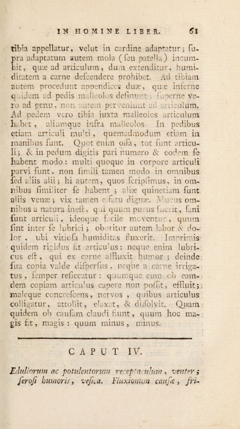 tibia appellatur, vel ut in cardine adaptatur; fu- pra adaptatum autem mola ( feu patella) incum¬ bit, quae ad articulum, dum extenditur, {Tumi¬ ditatem a carne defeendere prohibet. Ati tibiam autem procedunt appendices dux, qu.e inferne q. idem ad pedis mali olus definiunt; fuperne ve¬ ro ad genu, non ■ arem perveniunt ac; articulum. Ad pedem vero tibia juxta malleolos articulum habet , alium que infra malleolos. I11 pedibus etiam articuli midti, quemadmodum etiam in manibus funt. Quct enim oda, tot funt articu¬ li; & in pedum digitis pari numero & eodem fe habent modo : multi quoque in corpore articuli parvi funt, non fimili tamen modo in omnibus ied affls alii; hi autem, quos fcripfimus, in om¬ nibus fimi!iter fe habent ; alite quinctiam funt a<iis vente; vix tamen eu.ru dignx. Vurus om¬ nibus a natura inelh q ;i quum pu lis fuci it, fani funt articuli, ideoque facile moventi-*, quum fint inter fe lubrici; oboritur autem labor <S: do¬ lor , ubi vitiofa humiditas finxerit. Imprimis quidem rigidus fit artiemus: neque enim lubri¬ cus eft , qui ex carne affluxit humor ; deinde fua copia valde difperfus , ncqne a carne irriga¬ tus, femper reficcatur : quum que cum cb cam- dem copiam articuTis capere non poift, effluit;, maleque concrefcens, nervos , quibus articulus colligatur, attollit, eh-xat, & diifolvit. Quam quidem ob caufam claudi fiunt, quum hoc ma¬ gis fit, magis : quum minus, minus. CAPUT IV. r l Eduliorum ac potulentorum rereploruhim, venter; ferofi humoris, vefna. Fluxionum cauf<z, fri-