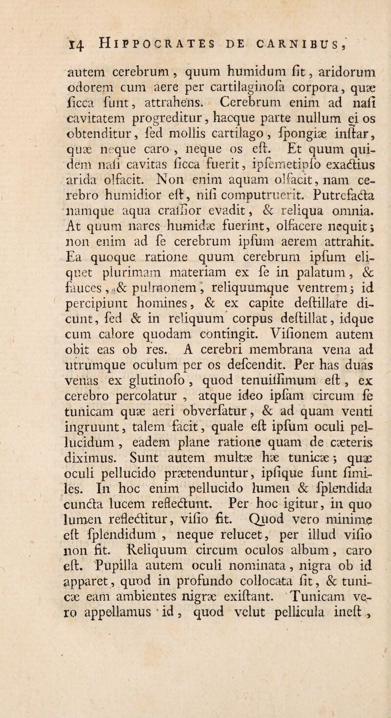 autem cerebrum , quum humidum fit, aridorum odorem cum aere per cartilaginofa corpora, quae ficca funt, attrahens. Cerebrum enim ad nafi cavitatem progreditur, hacque parte nullum ei os obtenditur, fed mollis cartilago, fpongiae inftar, quae neque caro , neque os eft. Et quum qui¬ dem nafi cavitas ficca fuerit, ipfemetipfo exadius arida olfacit. Non enim aquam olfacit, nam ce¬ rebro humidior elf, nili computruerit. Putrefada namque aqua cralfior evadit, & reliqua omnia. At quum nares humidae fuerint, olfacere nequit j non enim ad fe cerebrum ipfum aerem attrahit- Ea quoque ratione quum cerebrum ipfum eli¬ quet plurimam materiam ex fe in palatum, & fauces , & pulmonem , reliquumque ventrem 5 id percipiunt homines, & ex capite deftillare di¬ cunt, fed & in reliquum corpus deftillat, idque cum calore quodam contingit. Vifionem autem obit eas ob res. A cerebri membrana vena ad utrumque oculum per os defcendit. Per has duas venas ex glutinofo , quod tenuiffimum eft , ex cerebro percolatur , atque ideo ipfam circum fe tunicam quae aeri obverfatur, & ad quam venti ingruunt, talem facit, quale eft ipfum oculi pel¬ lucidum , eadem plane ratione quam de caeteris diximus. Sunt autem multae hae tunicae; quae oculi pellucido praetenduntur, ipfique funt fimi- les. In hoc enim pellucido lumen & fplendida eunda lucem refledunt. Per hoc igitur, in quo lumen refleditur, vifio fit. Quod vero minime eft fplendidum , neque relucet , per illud vifio 11011 fit. Reliquum circum oculos album, caro eft. Pupilla autem oculi nominata, nigra ob id apparet, quod in profundo collocata fit, & tuni¬ cae eam ambientes nigrae exiftant. Tunicam ve¬ ro appellamus * id , quod velut pellicula ineft , \