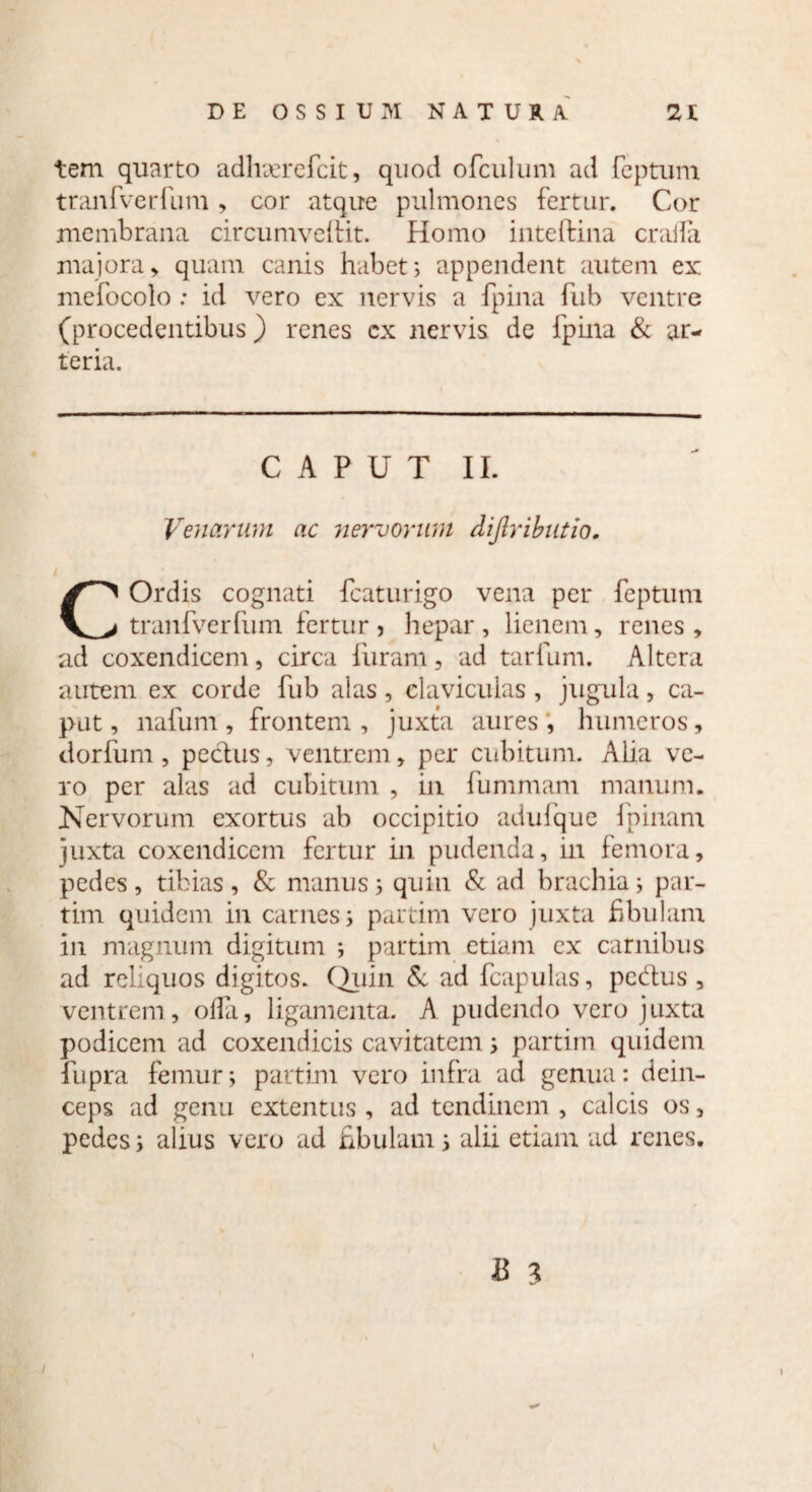 tem quarto adhxrefcit, quod ofculum ad feptum tranfverfum > cor atque pulmones fertur. Cor membrana circumveftit. Homo inteifina craila majora, quam canis habet; appendent autem ex mefocolo : id vero ex nervis a fpina fub ventre (procedentibus) renes cx nervis de fpina & ar¬ teria. CAPUT II. Venarum ac nervorum difiributio. Ordis cognati fcaturigo vena per feptum tranfverfum fertur ? hepar , lienem, renes , ad coxendicem, circa luram , ad tarfum. Altera autem ex corde fub alas , claviculas , jugula, ca¬ put , nafum , frontem , juxta aures , humeros, dorfum , pectus, ventrem, per cubitum. Alia ve¬ ro per alas ad cubitum , in fummam manum. Nervorum exortus ab occipitio aduique fpinam juxta coxendicem fertur in pudenda, in femora, pedes , tibias , & manus ; quin & ad brachia; par- tim quidem in carnes; partim vero juxta fibulam in magnum digitum ; partim etiam ex carnibus ad reliquos digitos. Quin & ad fcapulas, pedtus , ventrem, olla, ligamenta. A pudendo vero juxta podicem ad coxendicis cavitatem; partim quidem fupra femur; partim vero intra ad genua: dein¬ ceps ad genu extentus , ad tendinem , calcis os, pedes; alius vero ad fibulam; alii etiam ad renes.