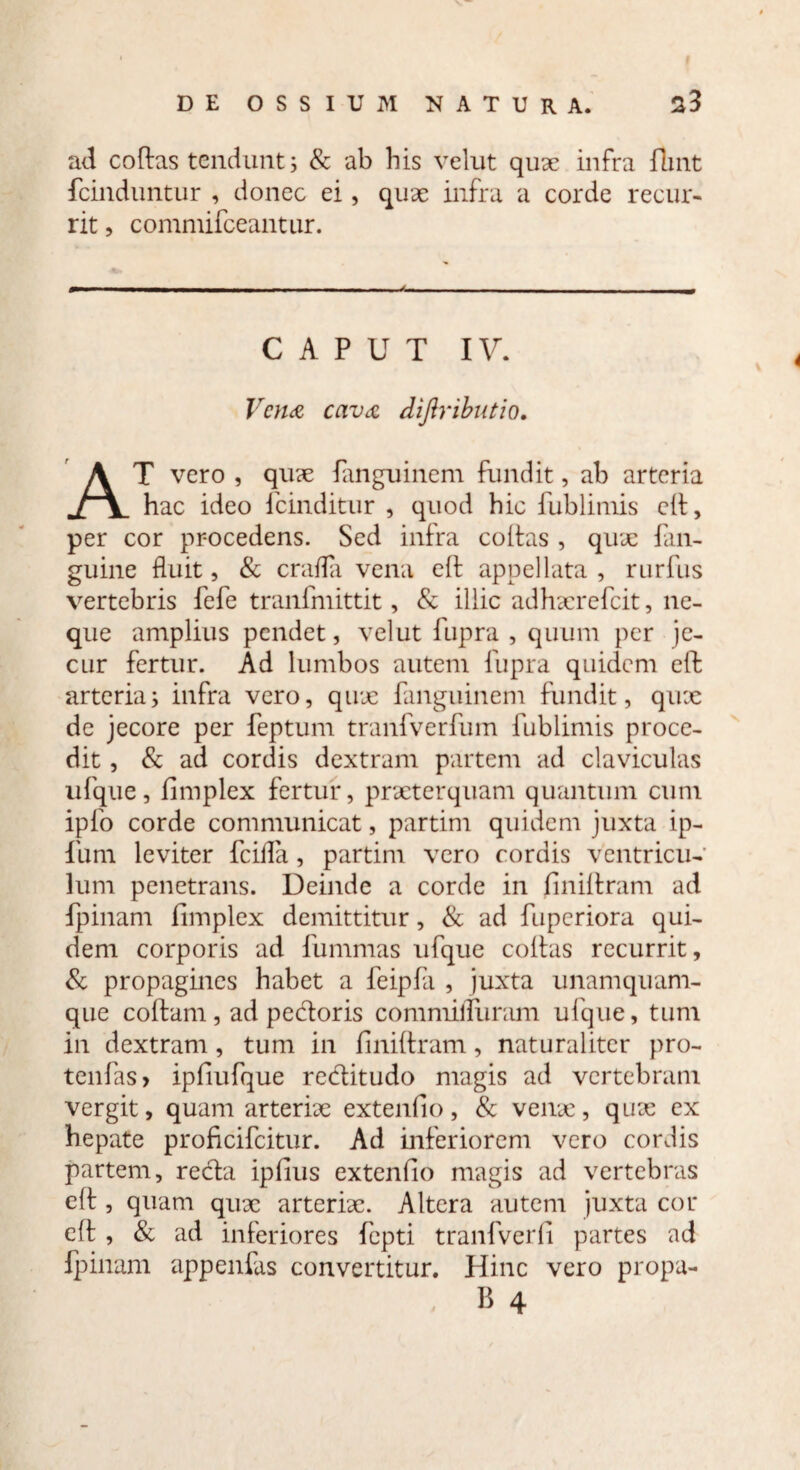 ad coftas tendunt j & ab his velut quae infra fbnt fcinduntur , donec ei, quae infra a corde recur¬ rit , commifceantur. Jm CAPUT IV. Vena cava diftributio. AT vero , quae fanguinem fundit, ab arteria hac ideo fcinditur , quod hic fublimis eft, per cor pr-ocedens. Sed infra coftas , quae fan- guine fluit, & crafla vena eft appellata , rurfus vertebris fefe tranfmittit, & illic adhaerefeit, ne¬ que amplius pendet, velut fupra , quum per je¬ cur fertur. Ad lumbos autem fupra quidem eft arteriaj infra vero, quae fanguinem fundit, qux de jecore per feptum tranfverfum fublimis proce¬ dit , & ad cordis dextram partem ad claviculas ufque, fimplex fertur, praeterquam quantum cum ipfo corde communicat, partim quidem juxta ip- fum leviter fcifla, partim vero cordis ventricu¬ lum penetrans. Deinde a corde in finiftram ad fpinam fimplex demittitur, & ad fuperiora qui¬ dem corporis ad fummas ufque coftas recurrit, & propagines habet a feipfa , juxta unamquam¬ que coffam , ad pectoris commifluram ufque, tum in dextram , tum in finiftram, naturaliter pro¬ tentas» ipfiufque rectitudo magis ad vertebram vergit, quam arteriae extentio, & venae, quae ex hepate proficifcitur. Ad inferiorem vero cordis partem, recta ipfius extentio magis ad vertebras eft, quam qux arterix. Altera autem juxta cor eft , & ad inferiores fepti tranfverfi partes ad fpinam appendas convertitur. Hinc vero propa-