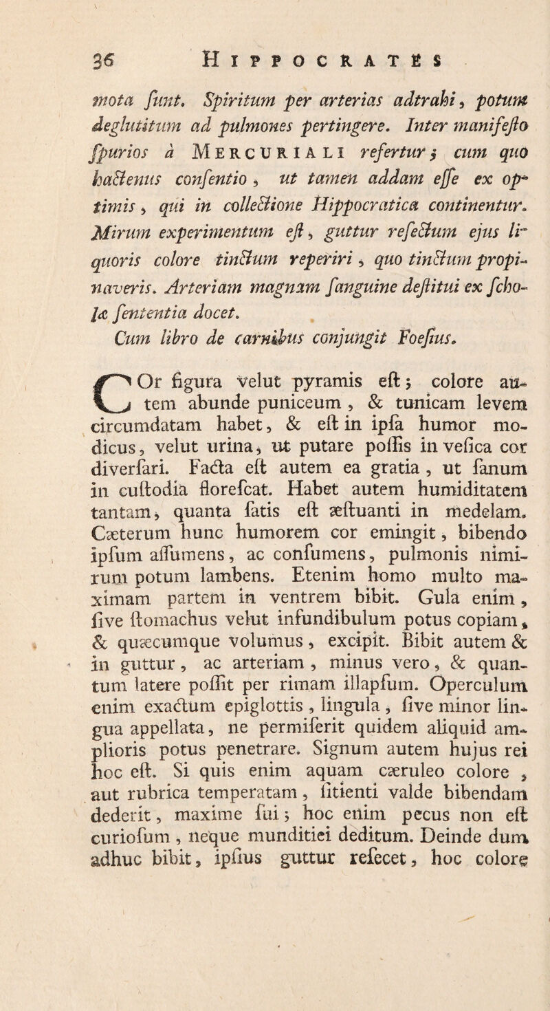 mota funt. Spiritum per arterias adtrahi, potum deglutitum ad pulmones pertingere. Inter manifejlo fpurios a Mercuriali refertur $ cum quo haBenus confentio , ut tamen addam ejfe ex op* timis 5 qui in colle Bion e Hippocratica continentur. Mirum experimentum efl, guttur refeBum ejus l'r quoris colore tinBum reperiri, quo tinBum propi¬ naveris. Arteriam magnam [anguine dejlitui ex [eho- fa fententia docet. Cum libro de carnibus conjungit Foefius. COr figura velut pyramis eft $ colore au¬ tem abunde puniceum , & tunicam levem circumdatam habet, & eft in ipfa humor mo¬ dicus 5 velut urina * ut putare poliis in vefica cor diverfari. Fa&a eft autem ea gratia , ut fanum in cuftodia florefeat. Habet autem humiditatem tantam j quanta fatis eft aeftuanti in medelam. Cseterum hunc humorem cor emingit, bibendo ipfum alfumens, ac confumens, pulmonis nimi¬ rum potum lambens. Etenim homo multo ma¬ ximam partem in ventrem bibit. Gula enim , live ftomachus velut infundibulum potus copiam * & quacumque volumus, excipit. Bibit autem & - in guttur, ac arteriam , minus vero, & quan¬ tum latere poffit per rimam illapfum. Operculum enim exadlum epiglottis , lingula , five minor lin¬ gua appellata, ne permiferit quidem aliquid am¬ plioris potus penetrare. Signum autem hujus rei hoc eft. Si quis enim aquam caeruleo colore , aut rubrica temperatam, litiend valde bibendam dederit, maxime fuij hoc enim pecus non eft curiofum, neque munditiei deditum. Deinde dum adhuc bibit, ipiius guttur refecet, hoc colore