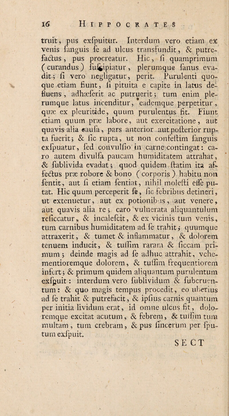 truit, piis exfpuitiir. Interdum vero etiam e% venis fanguis fe ad ulcus transfundit, & putre¬ factus , pus procreatur. Hic, 11 quamprimum ( curandus ) fdiipiatur , plerumque fanus eva¬ dit; fi vero negligatur, perit. Purulenti quo¬ que etiam fiunt, fi pituita e capite in latus de¬ fluens , adhscferit ac putruerit; tum enim ple¬ rumque latus incenditur, eademque perpetitur , quae ex pleuritide, quum purulentus fit. Fiunt etiam quum pne labore, aut exercitatione, aut quavis alia eaufa, pars anterior aut potterior rup¬ ta fuerit i & fle rupta, ut non confeffim fanguis exfpuatur, fed convulfio in carne contingat: ca¬ ro autem divulfa paucam humiditatem attrahat, & fublivida evadat; quod quidem ftatim ita af- fedus prse robore & bono ( corporis ) habitu non fentit, aut fi etiam fentiat, nihil molefU effe pu¬ tat. Hic quum perceperit f@, fic febribus detineri, ut extenuetur, aut ex potionibus, aut venere, aut quavis alia re; caro vulnerata aliquantulum reficcatur,, & incalefcit, & ex vicinis tum venis-, tum carnibus humiditatem ad fe trahit; quumque attraxerit, & tumet & inflammatur, & dolorem tenuem inducit, & tuffim raram & ficcam pri¬ mum; deinde magis ad fe adhuc attrahit, vehe- mentioremque dolorem, & tuffim frequentiorem infert; & primum quidem aliquantum purulentum exfpuit: interdum vero fublividum & fubcrucn- tum: & quo magis tempus procedit, eo uberius ad fe trahit & putrefacit, & ipfius carnis quantum per initia lividum erat, id omne ulcus fit, dolo¬ remque excitat acutum, & febrem, & tuffim tum multam, tum crebram, & pus fincerum per fpu- tum exfpuit. SE CT i