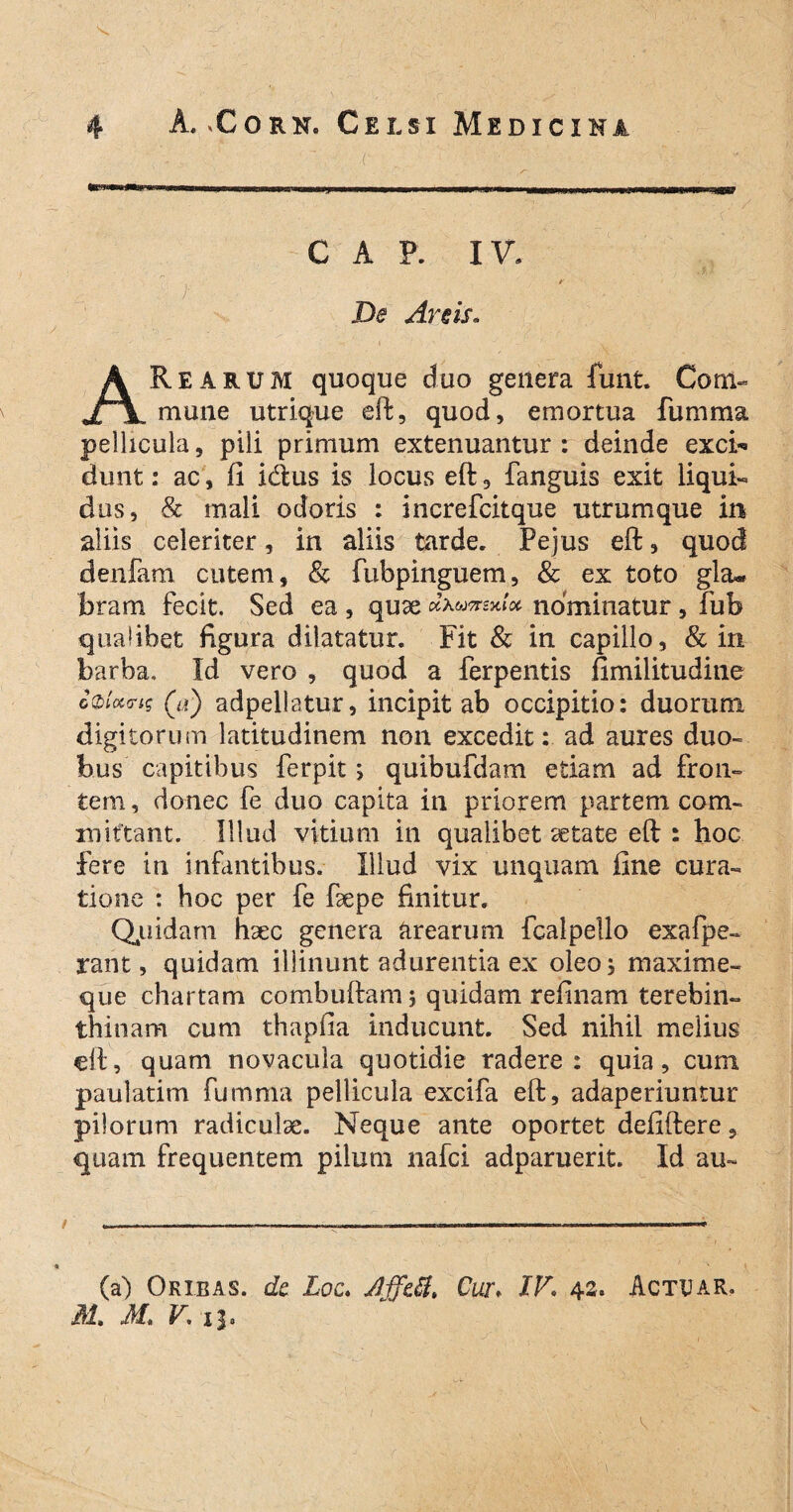 r C A P. XV. >: De Areis. ARearum quoque duo genera funt. Com» mune utrique eft, quod, emortua fumma pellicula, pili primum extenuantur: deinde exci-» dunt: ac, fi icftus is locus eft, fanguis exit liqui¬ dus , & mali odoris : increfcitque utrumque in aliis celeriter, in aliis tarde. Pe jus eft, quod denfam cutem, & fubpinguem, & ex toto gla« bram fecit. Sed ea , quae nominatur, fub qualibet figura dilatatur. Fit & in capillo, & in barba. Id vero , quod a ferpentis fimilitudine (#) adpellatur, incipit ab occipitio: duorum digitorum latitudinem non excedit: ad aures duo¬ bus capitibus ferpit; quibufdam etiam ad fron¬ tem , donec fe duo capita in priorem partem com¬ mittant. Illud vitium in qualibet aetate eft : hoc fere in infantibus. Illud vix unquam fine cura¬ tione : hoc per fe faepe finitur. Quidam haec genera arearum fcalpello exafpe- rant, quidam illinunt adurentia ex oleo} maxime- que chartam combuftam 5 quidam refinam terebin¬ thinam cum thapfia inducunt. Sed nihil melius eft, quam novacula quotidie radere: quia, cum paulatim fumma pellicula excifa eft, adaperiuntur pilorum radiculae. Neque ante oportet defiftere, quam frequentem pilum nafci adparuerit. Id au- (a) Oribas. dc Loc. Cur> IV. 42. Actuar. M, M, V. x]» /