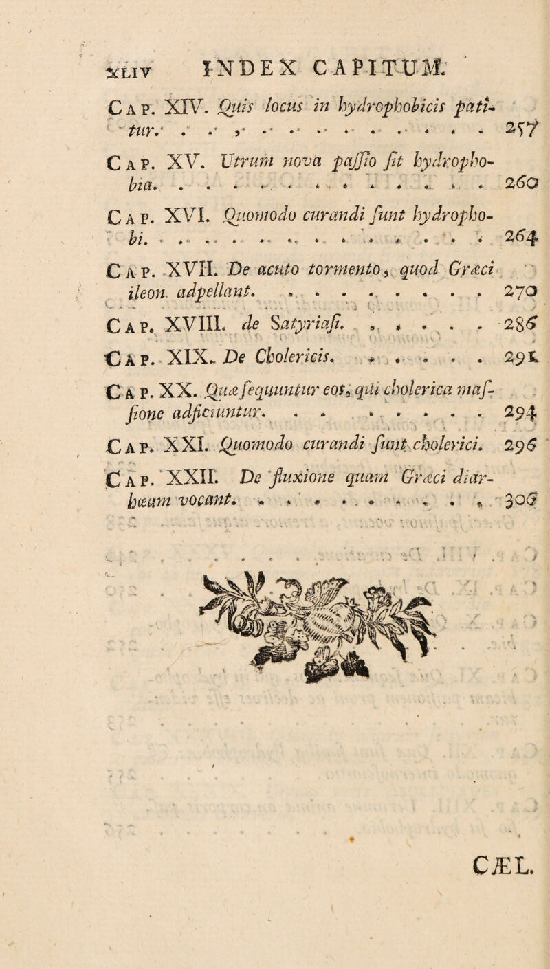Cap. XIV. Quis locus in hydrophobicis patU tUY.‘ . « • < - Cap. XV. Utrum nova pafflo Jit hydropho- bia« • * * * * » * * *,. » * 2^*0 C A p. XVI. Quomodo curandi funt hydropho- Cap. XVII. De acuto tormento, gr/od GVea i/eoft. adpellant. ........ 270 Cap. XVIIL Je Satyriafi. * * . . -2g£ Cap. XIX* De Cbolericis. * * . . . 291 Cap. XX. Qua fequuntur eos3 cholerica maf- fione adficiuntm * « * *»*.. 29-I< Cap. XXL Quomodo curandi funt choierici. 296 Cap. XXII. De'fluxione quam Grdci diar- h(sctm ‘vocant• » * # *.» * « • *, ^oc? CiEL.