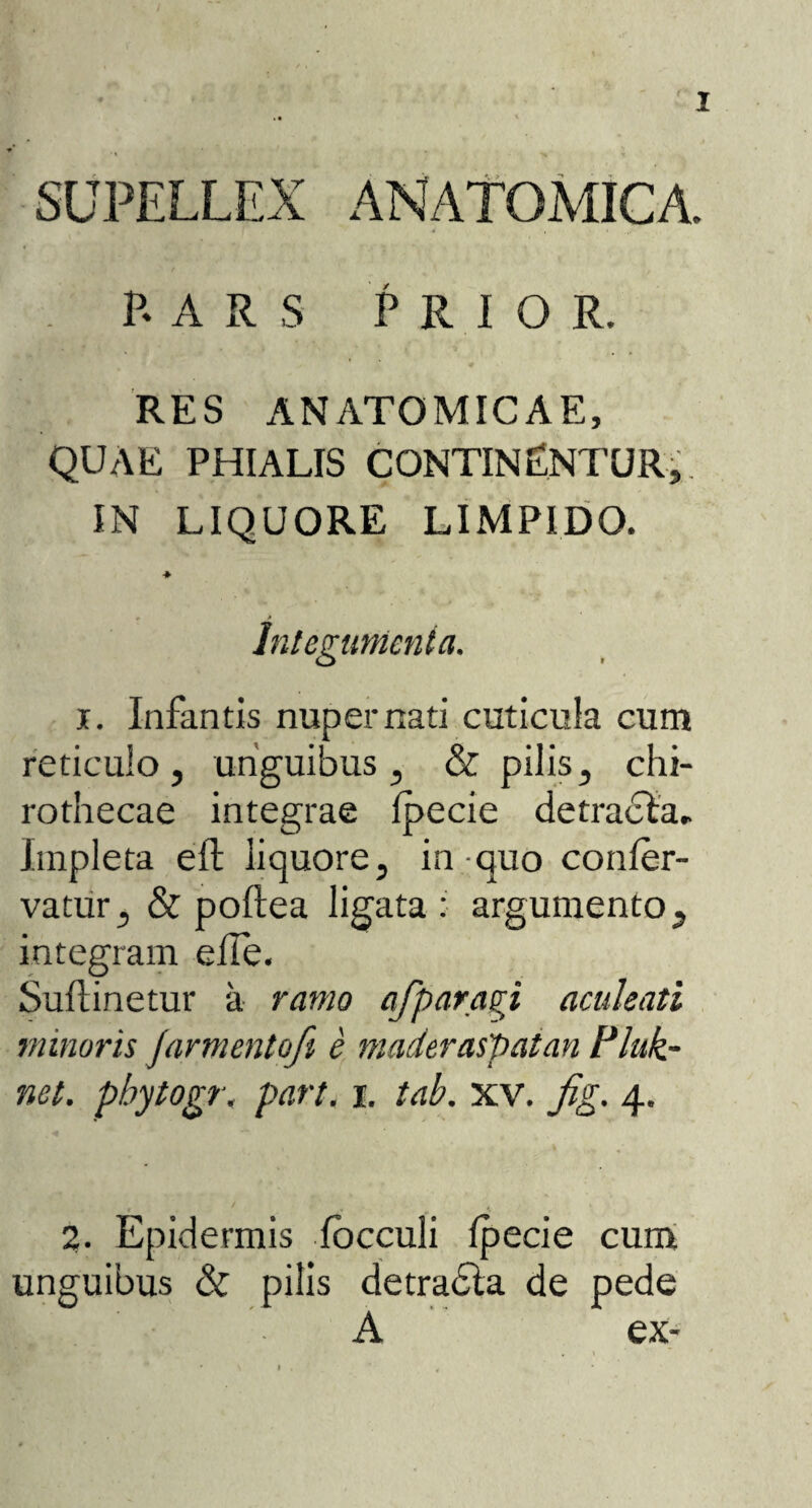 SUPELLEX ANATOMICA. P.ARS PRIOR. RES ANATOMICAE, QUAE PHIALIS CONTINENTUR,. IN LIQUORE LIMPIDO. i. Infantis nuper nati cuticula cum reticulo, unguibus, & pilis, chi- rothecae integrae Ipecie detracta. Impleta eft liquore, in quo conler- vatur, & poftea ligata : argumento, integram efle. Suftinetur a ramo afparagi aculeati minoris Jarmentofi e maderaspatan Pluk- net. pbytogr. part. i. tab. xv. fig. 4. A Integumenta 2. Epidermis locculi Ipecie cum unguibus & pilis detradta de pede A ex-