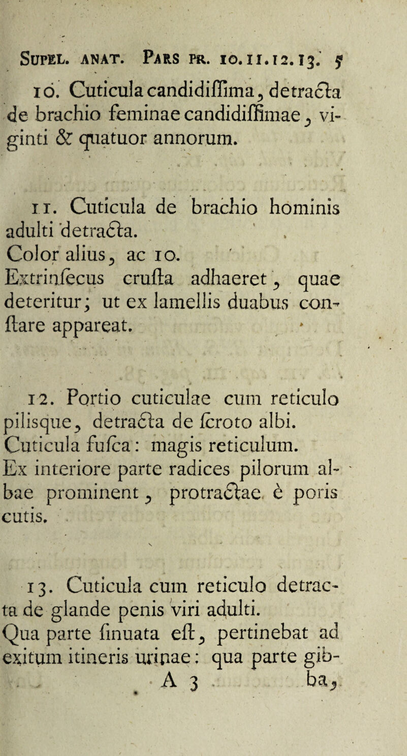 Supel. anat. Pars m. io. 11.12.13.' y 16. Cuticula candidiflima, detracla de brachio feminae candidiffimae , vi- ginti & quatuor annorum. 1 • » . * H - g r. » f 11. Cuticula de brachio hominis adulti detracla. Color alius, ac 10. Extrinlecus crufla adhaeret, quae deteritur; ut ex lamellis duabus con¬ flare appareat. 12. Portio cuticulae cum reticulo pilisque, detradla de fcroto albi. Cuticula fufca: magis reticulum. Ex interiore parte radices pilorum al¬ bae prominent, protradlae e poris cutis. 13. Cuticula cum reticulo detrac¬ ta de glande penis viri adulti. Qua parte finuata efl, pertinebat ad exitum itineris urinae: qua parte gib- • A 3 . ba,j