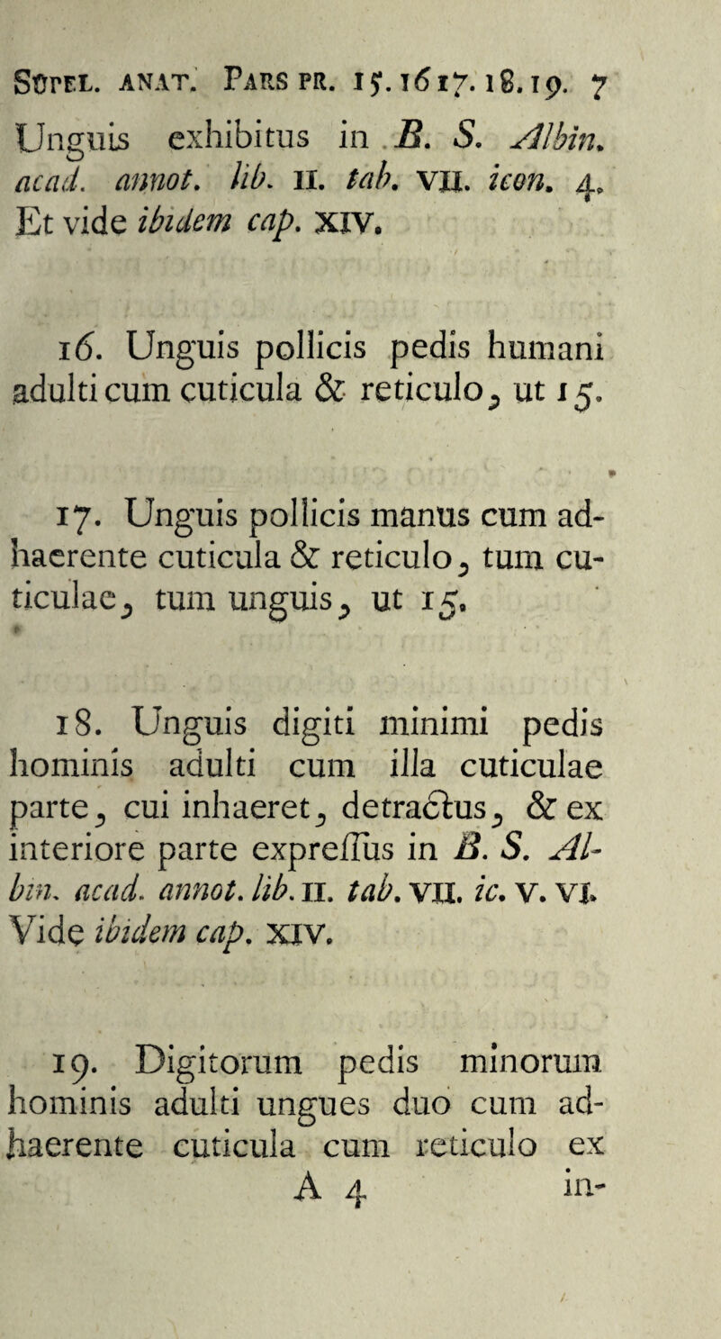 Unguis exhibitus in B. S. Albin. acati, annot. lib. 11. tab. vil. icon. 4, Et vide ibidem cap. xiv. ’ t * 16. Unguis pollicis pedis humani adulti cum cuticula & reticulo} ut 15. 17. Unguis pollicis manus cum ad¬ haerente cuticula & reticulo 3 tum cu¬ ticulae 3 tum unguis, ut 15. * 18. Unguis digiti minimi pedis hominis adulti cum illa cuticulae parte? cui inhaeret, detractus., &ex interiore parte expretius in B. S. AU bin. acad. annot. lib. 11. tab. vil. ic. v. VI. Vide ibidem cap. xiv. V ‘ 19. Digitorum pedis minorum hominis adulti ungues duo cum ad¬ haerente cuticula cum reticulo ex A 4 in-