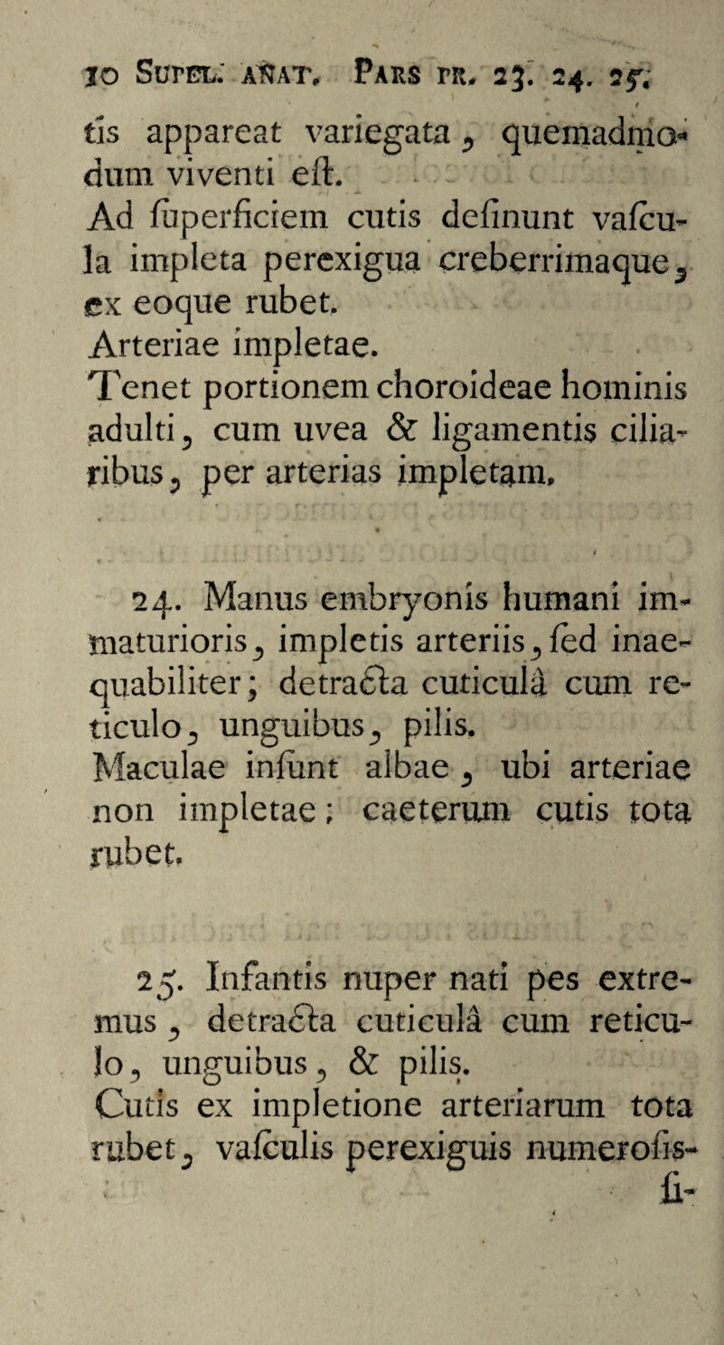 1 a ?¥** • / tis appareat variegata, quemadmo* dum viventi eft. *. . ,• - 1 Ad luperficiem cutis delinunt valcu- la impleta perexigua creberrimaque, ex eoque rubet. Arteriae impletae. Tenet portionem choroideae hominis adulti, cum uvea & ligamentis cilia¬ ribus , per arterias impletam, # 24. Manus embryonis humani im¬ maturioris 3 impletis arteriis,led inae¬ quabiliter; detracta cuticula cum re¬ ticulo, unguibus, pilis. Maculae inlunt albae , ubi arteriae non impletae; caeterum cutis tota rubet, 25. Infantis nuper nati pes extre¬ mus , detradla cuticula cum reticu¬ lo, unguibus, & pilis. Cutis ex impletione arteriarum tota rubet, valculis perexiguis numerolis- ii-