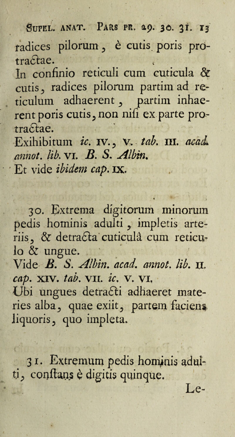 radices pilorum , £ cutis poris pro- tradtae. In confinio reticuli cum cuticula & cutis , radices pilorum partim ad re¬ ticulum adhaerent , partim inhae¬ rent poris cutis, non nifi ex parte pro- tradtae. Exihibitum ic. iv., v, tab. 111. acati annot. lib. vi. B. S. Albin. ■ Et vide ibidem cap. ix. * * > 30. Extrema digitorum minorum pedis hominis adulti , impletis arte¬ riis, & detradla cuticuld cum reticu¬ lo & ungue. ' Vide B. S. Alhin. acad. annot. lib. h. cap. xiv. tab. vn. ic. v. vi. Ubi ungues detradti adhaeret mate¬ ries alba, quae exiit, partem faciens liquoris, quo impleta. 31. Extremum pedis hominis adul¬ ti, conflans e digitis quinque. Le-